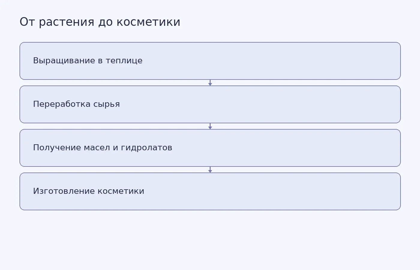 Этапы практических занятий в агроклассе «Технологии ароматов»