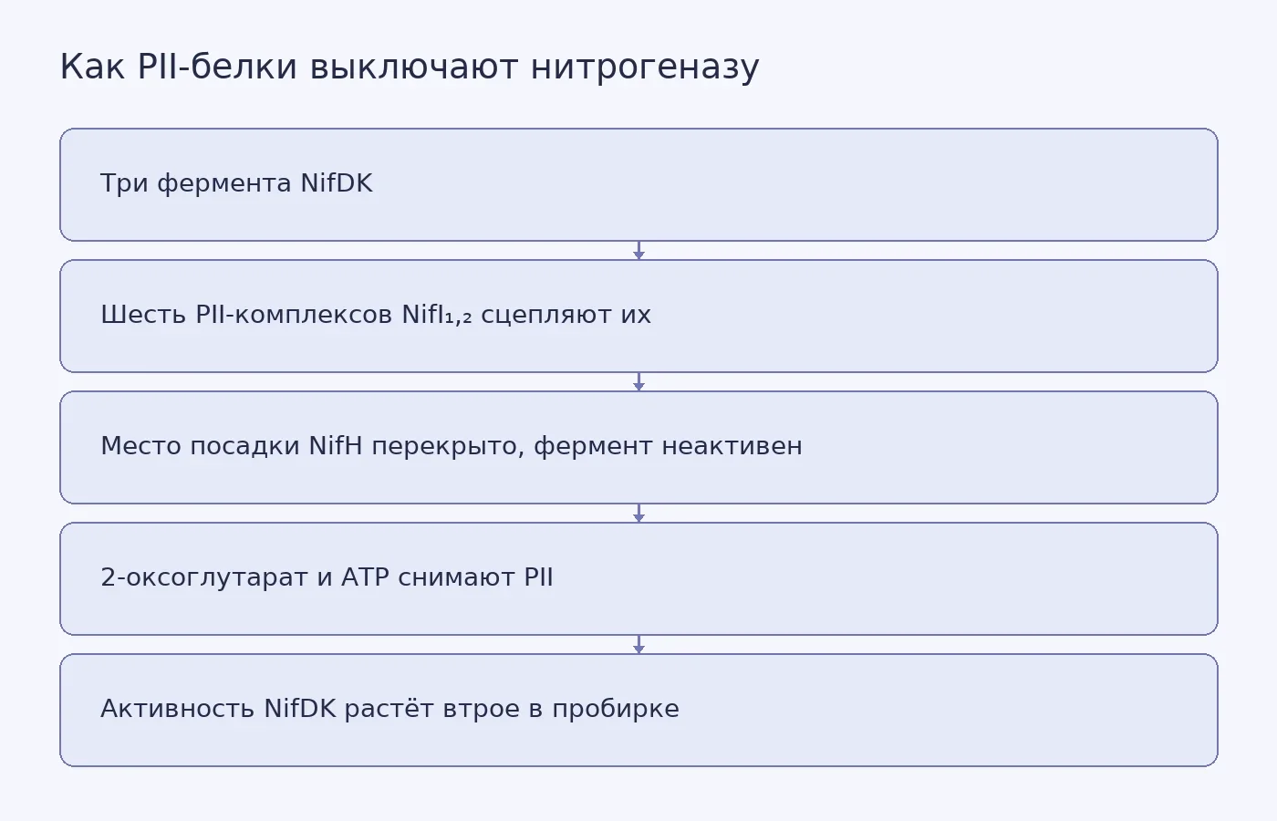 Схема сборки нитрогеназы в неактивный суперкомплекс под действием PII-белков и её разборки при появлении 2-оксоглутарата и ATP