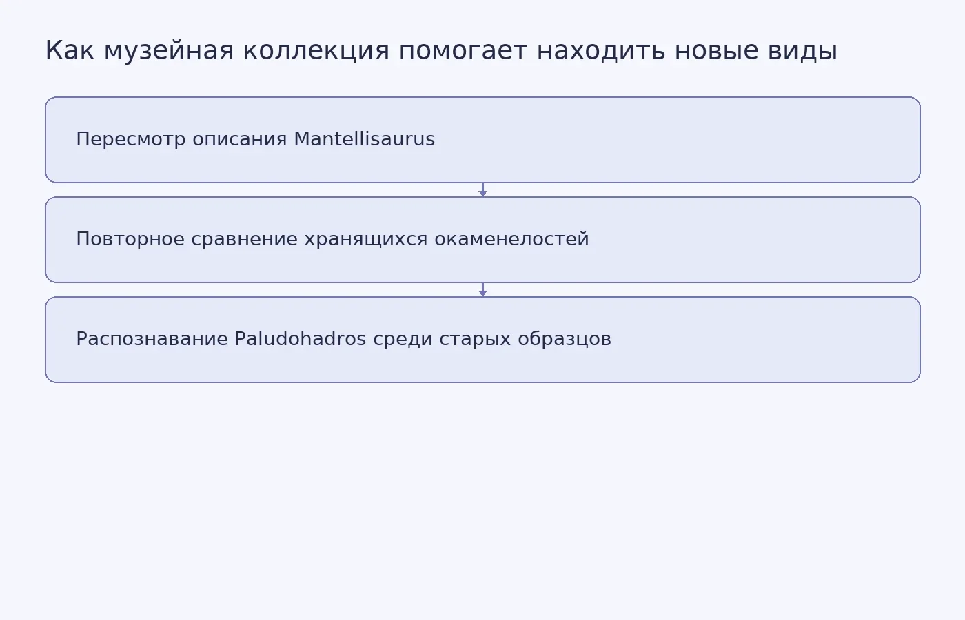Схема показывает, как уточнение признаков известного динозавра помогло пересмотреть музейные образцы и распознать новый вид