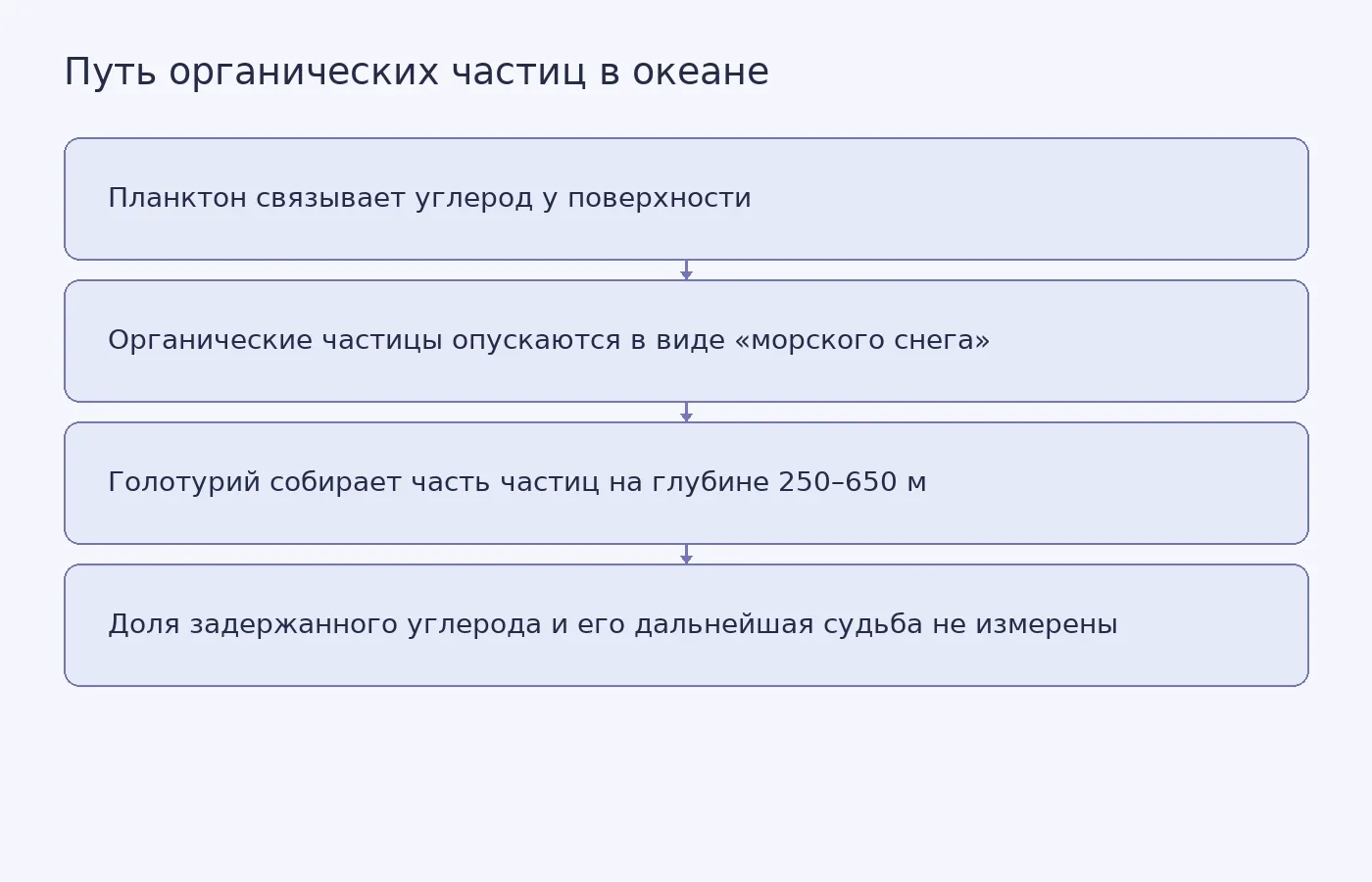 Схема показывает, как органические частицы опускаются от поверхности к морскому дну и как Pelagothuria natatrix может собирать их в толще воды.