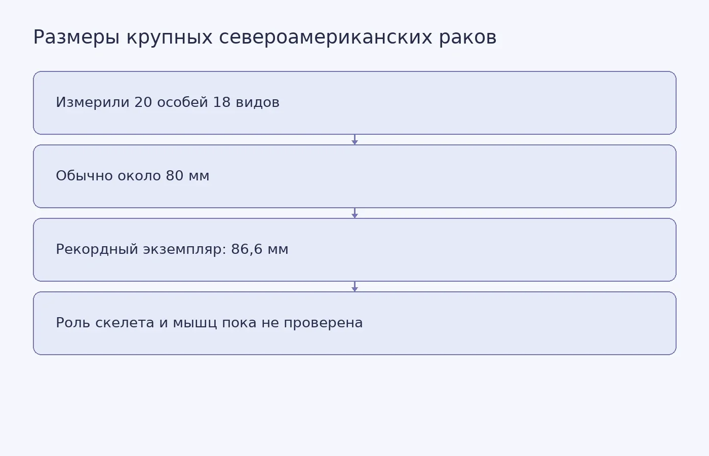 Схема сопоставляет тенденцию к размеру около 80 мм с рекордным экземпляром длиной 86,6 мм и показывает, что физиологическое объяснение остаётся гипотезой.
