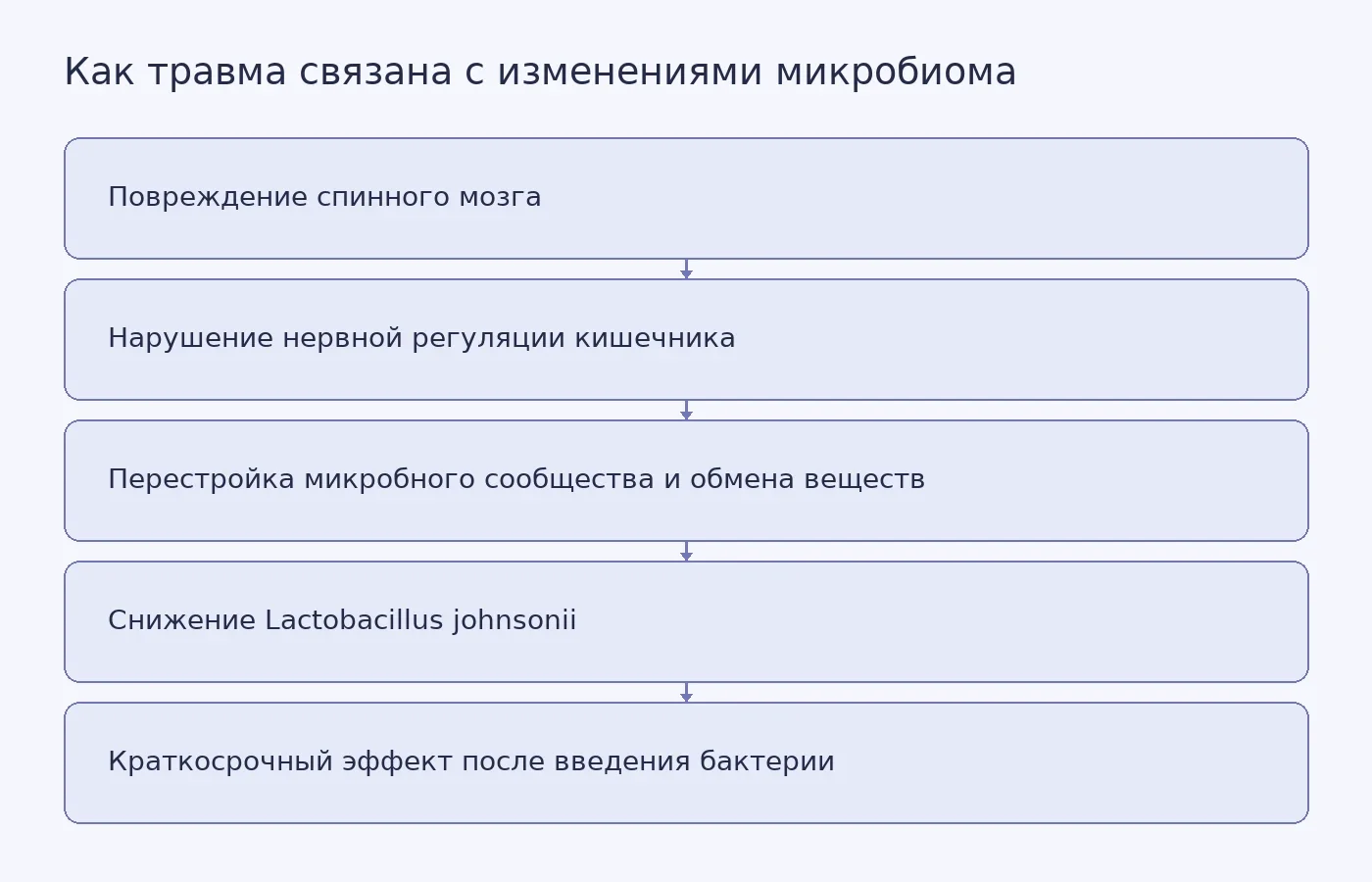 Концептуальная схема показывает предполагаемую связь между повреждением спинного мозга, перестройкой кишечного микробиома и результатом краткого опыта с Lactobacillus johnsonii у мышей