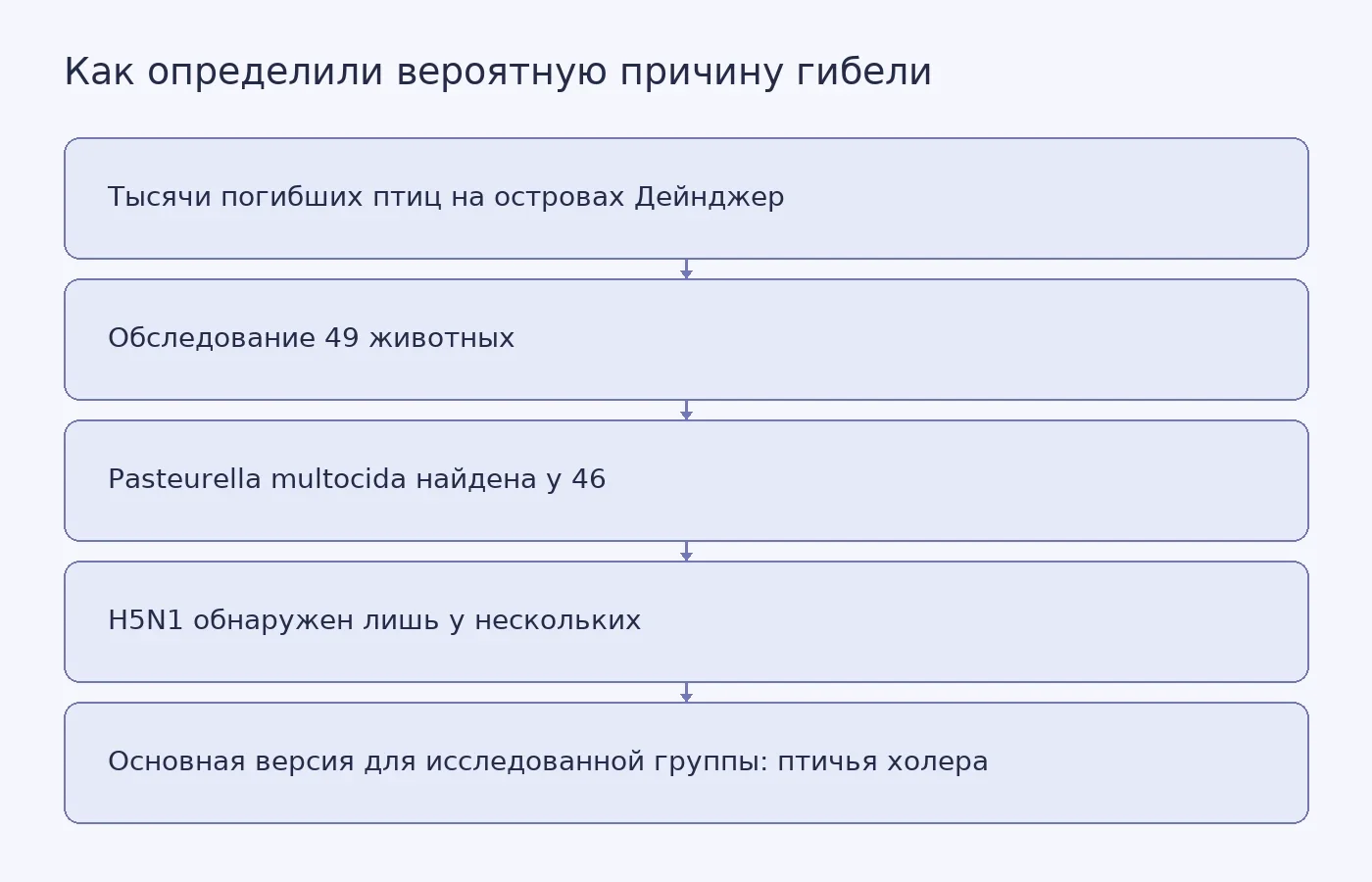 Схема показывает, как сравнение результатов обследования 49 животных привело исследователей к выводу о ведущей роли птичьей холеры, а не H5N1