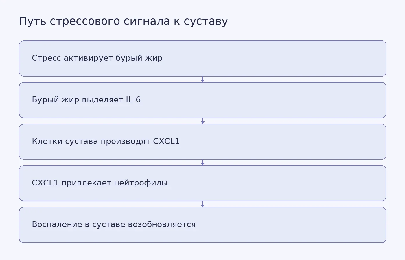 Концептуальная схема предполагаемого механизма стрессового обострения артрита, изученного на мышах