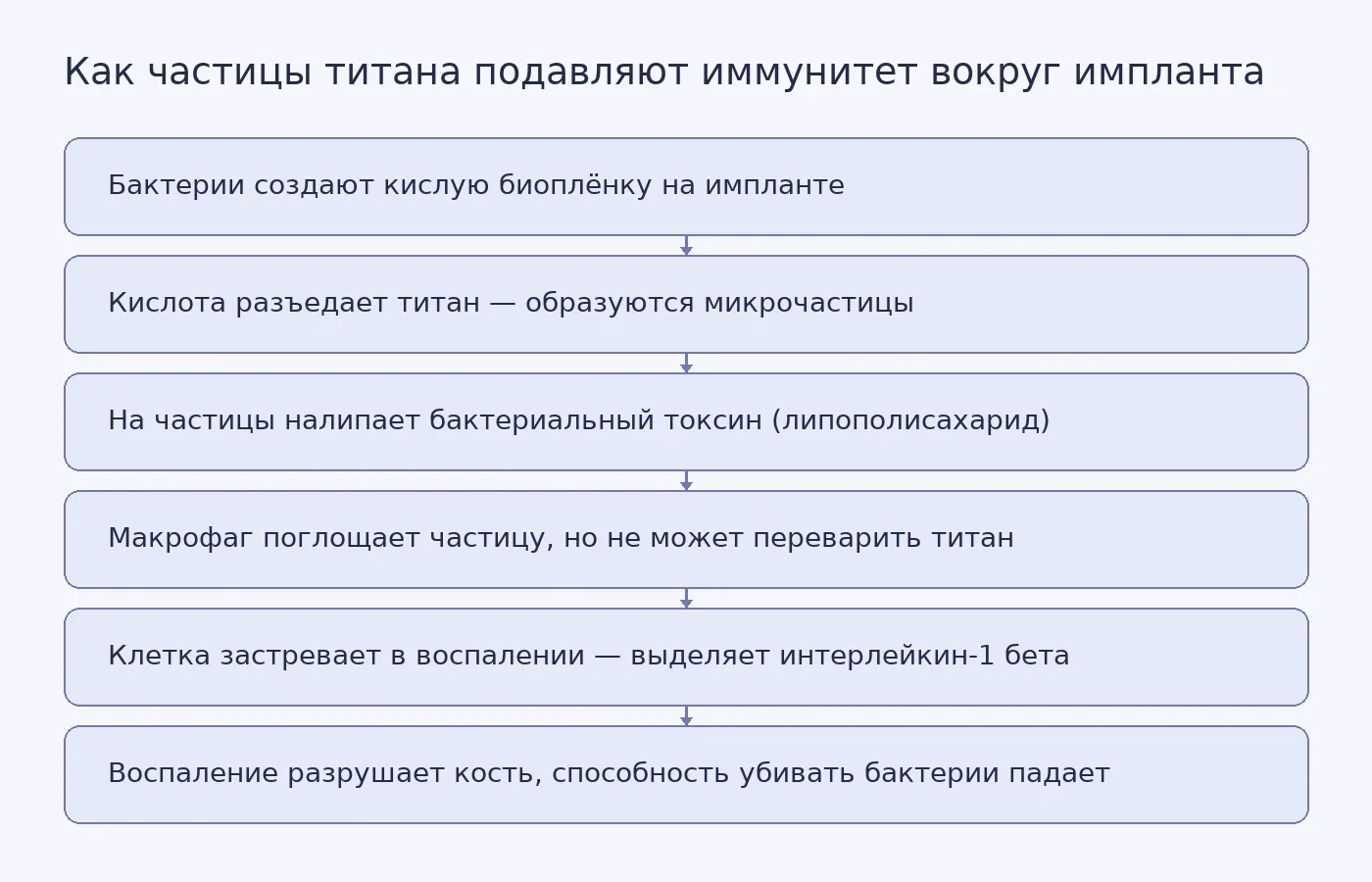Схема: от бактериальной плёнки к частице титана, захвату макрофагом, хроническому воспалению и потере защиты от бактерий.