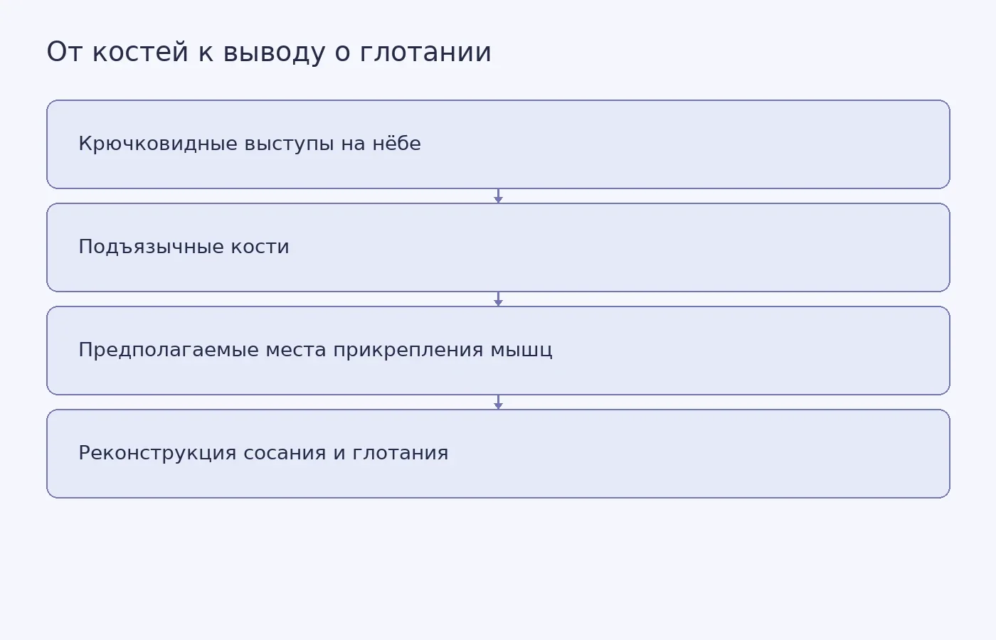Схема показывает, как исследователи связывают сохранённые кости Megacauda sungei с возможной работой мягких тканей, которые непосредственно в ископаемом не сохранились.