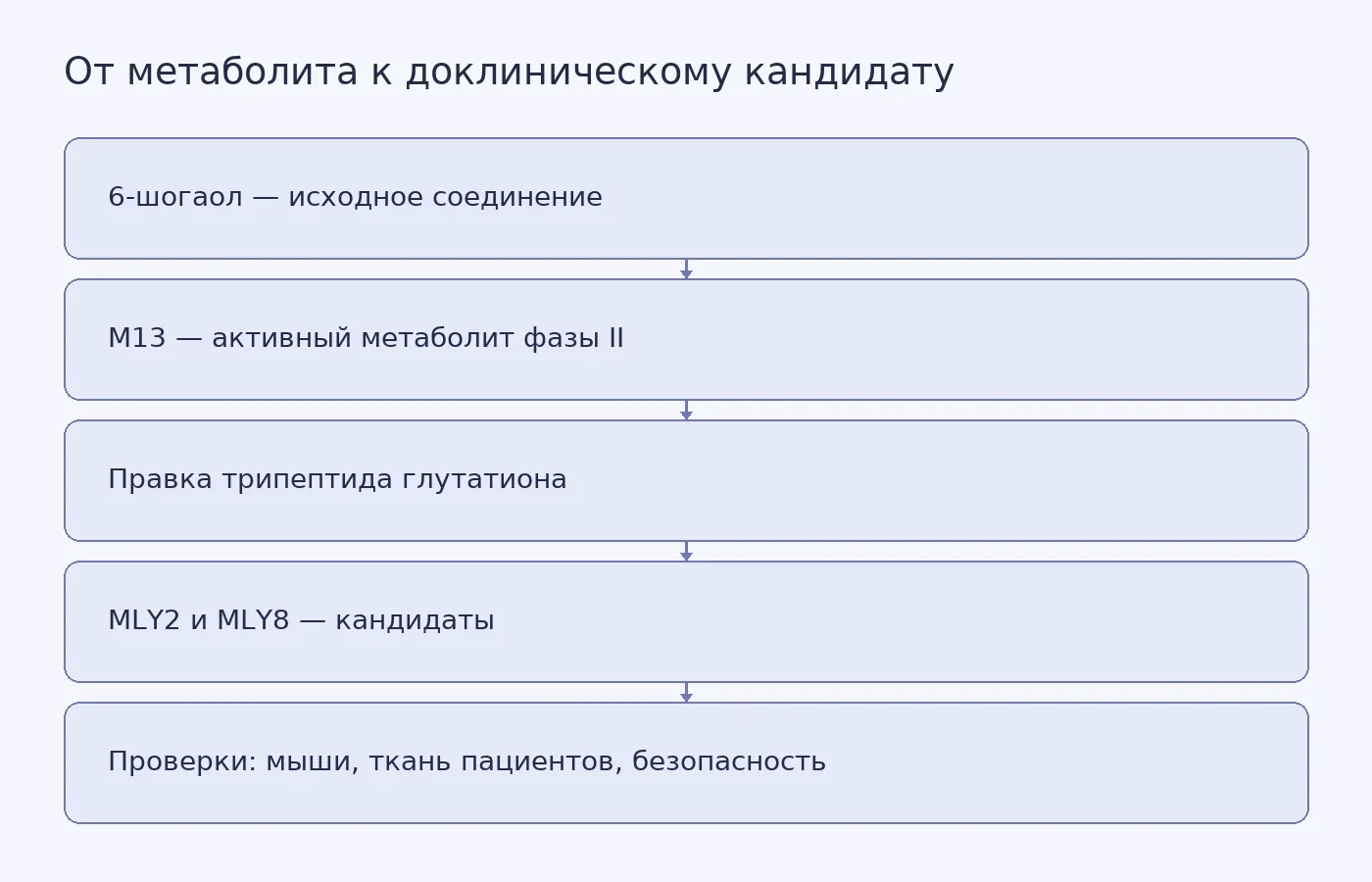 Схема показывает, как из 6-шогаола через метаболит M13 и правку трипептида получили соединения MLY2 и MLY8 и какие доклинические проверки они прошли.