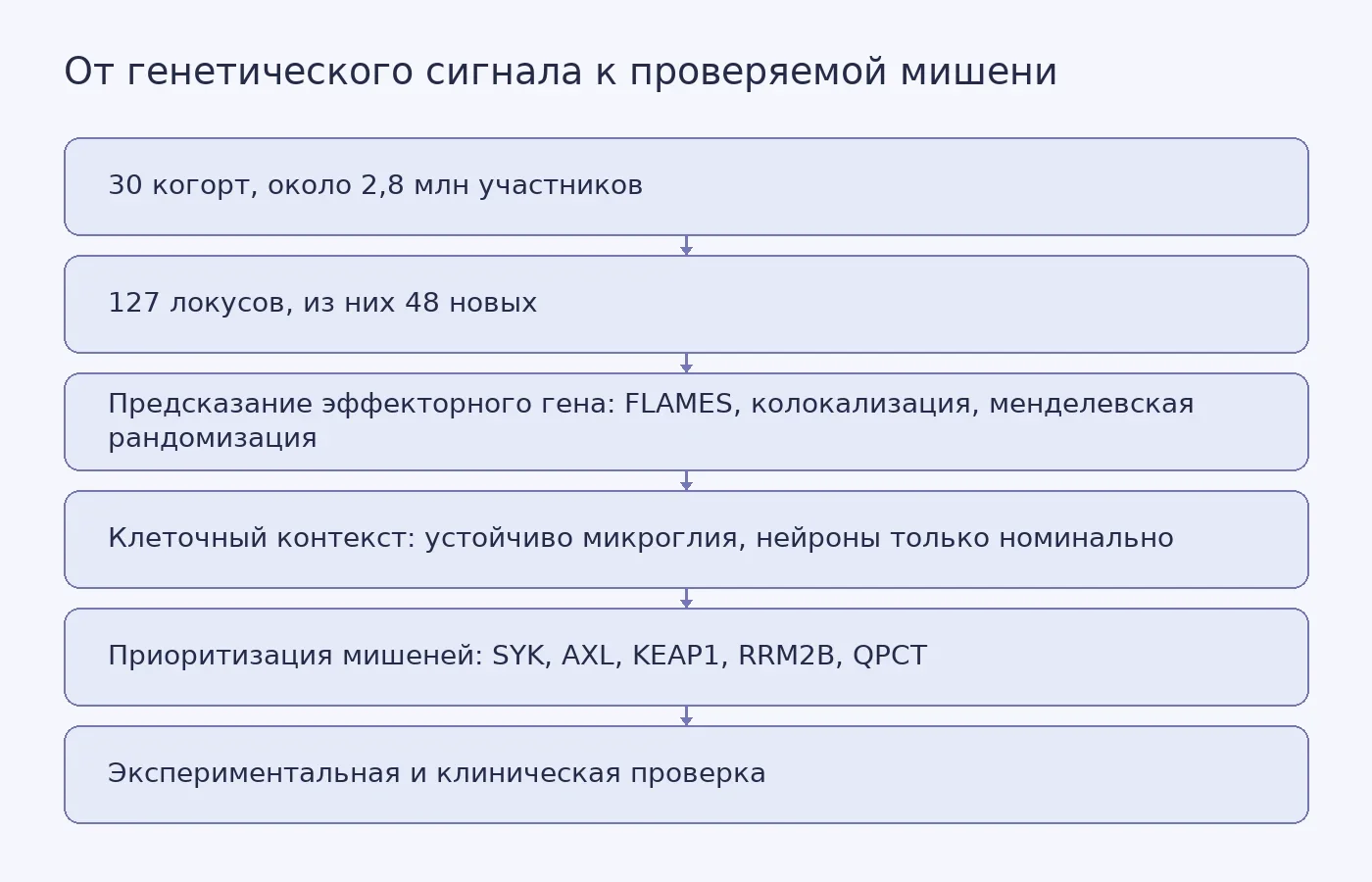 Схема показывает путь от метаанализа GWAS через предсказание эффекторных генов и клеточный контекст к приоритизации мишеней, которые ещё требуют экспериментальной проверки