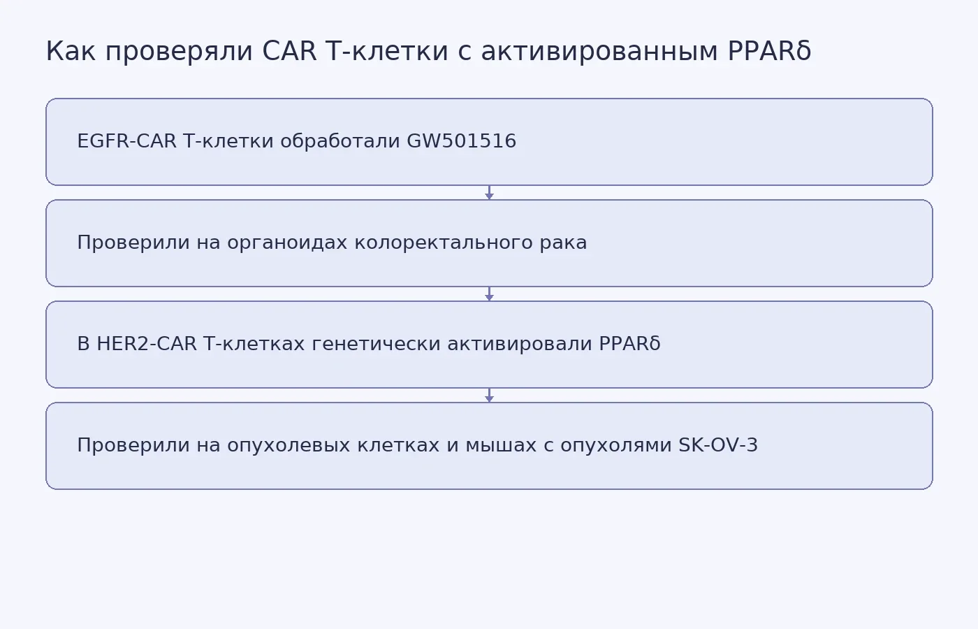 Схема показывает два способа активировать PPARδ в человеческих CAR T-клетках и модели, на которых исследователи проверяли их противоопухолевую активность.
