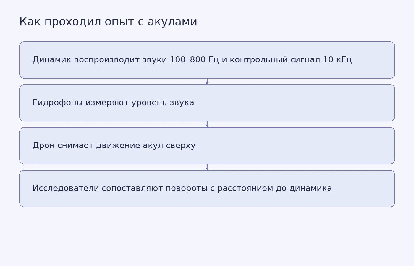 Схема полевого опыта, в котором гидрофоны и дрон помогали сопоставить реакцию чернопёрых акул с низкочастотным звуком