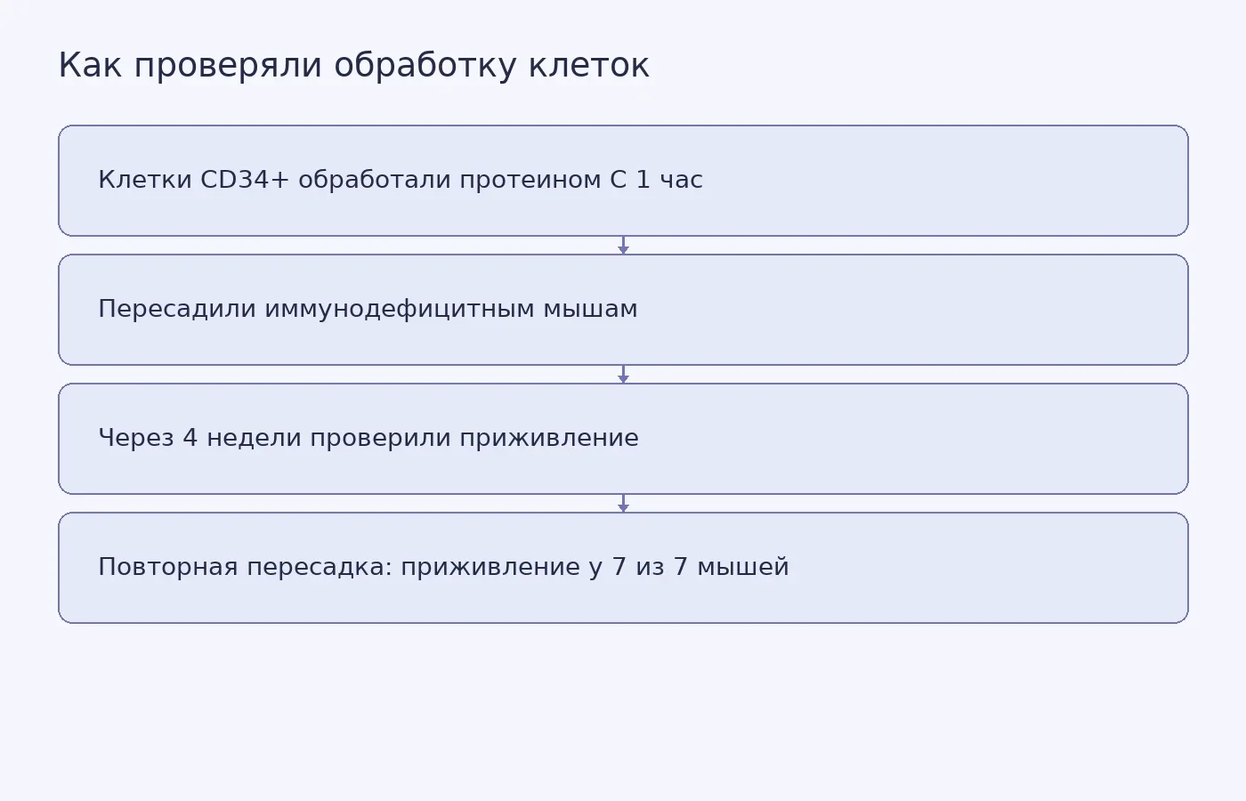 Схема краткосрочной первичной и повторной пересадки обработанных человеческих кроветворных клеток мышам