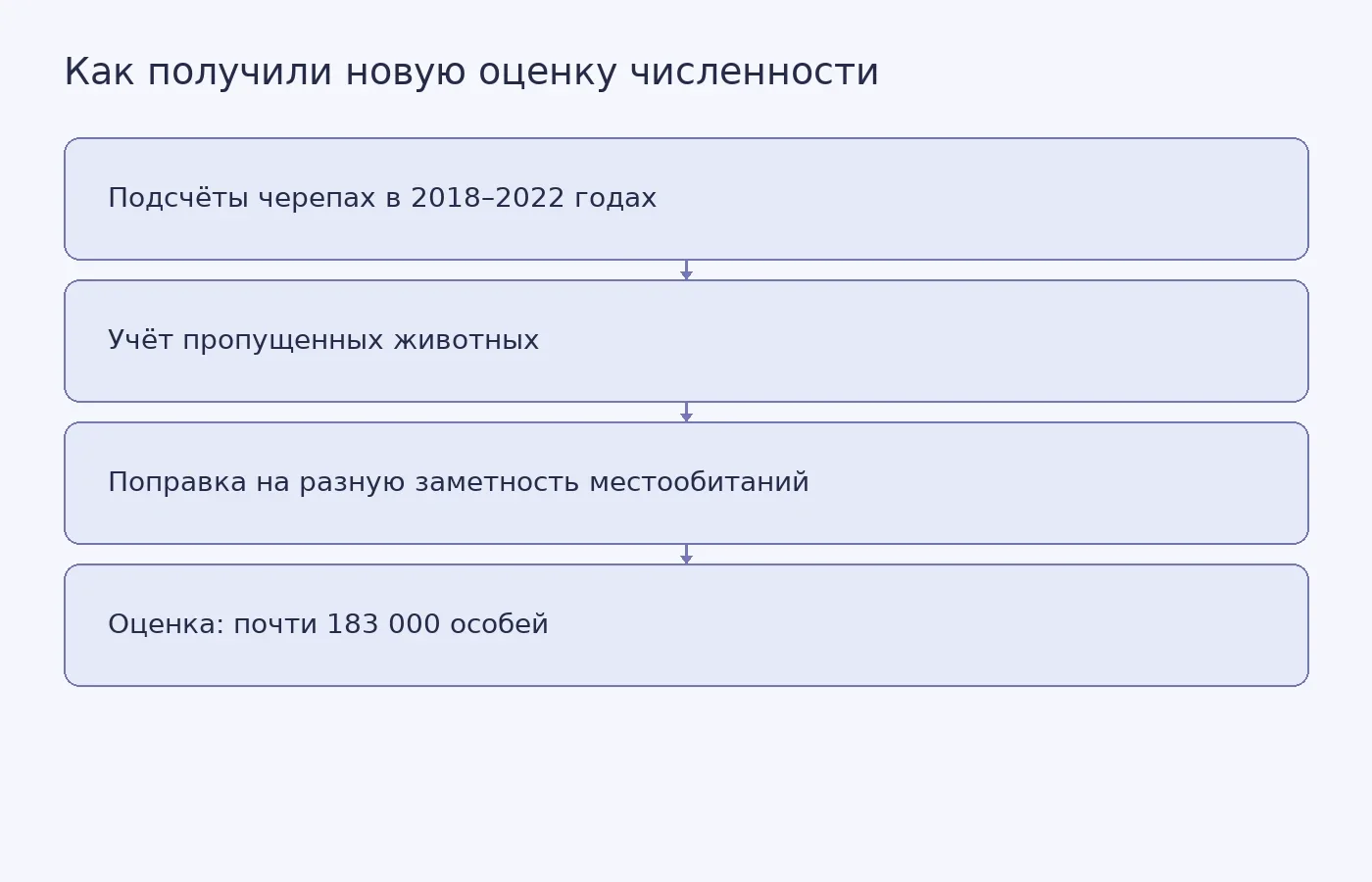 Схема показывает, как пятилетние наблюдения с поправкой на незамеченных черепах привели к оценке почти в 183 тысячи животных