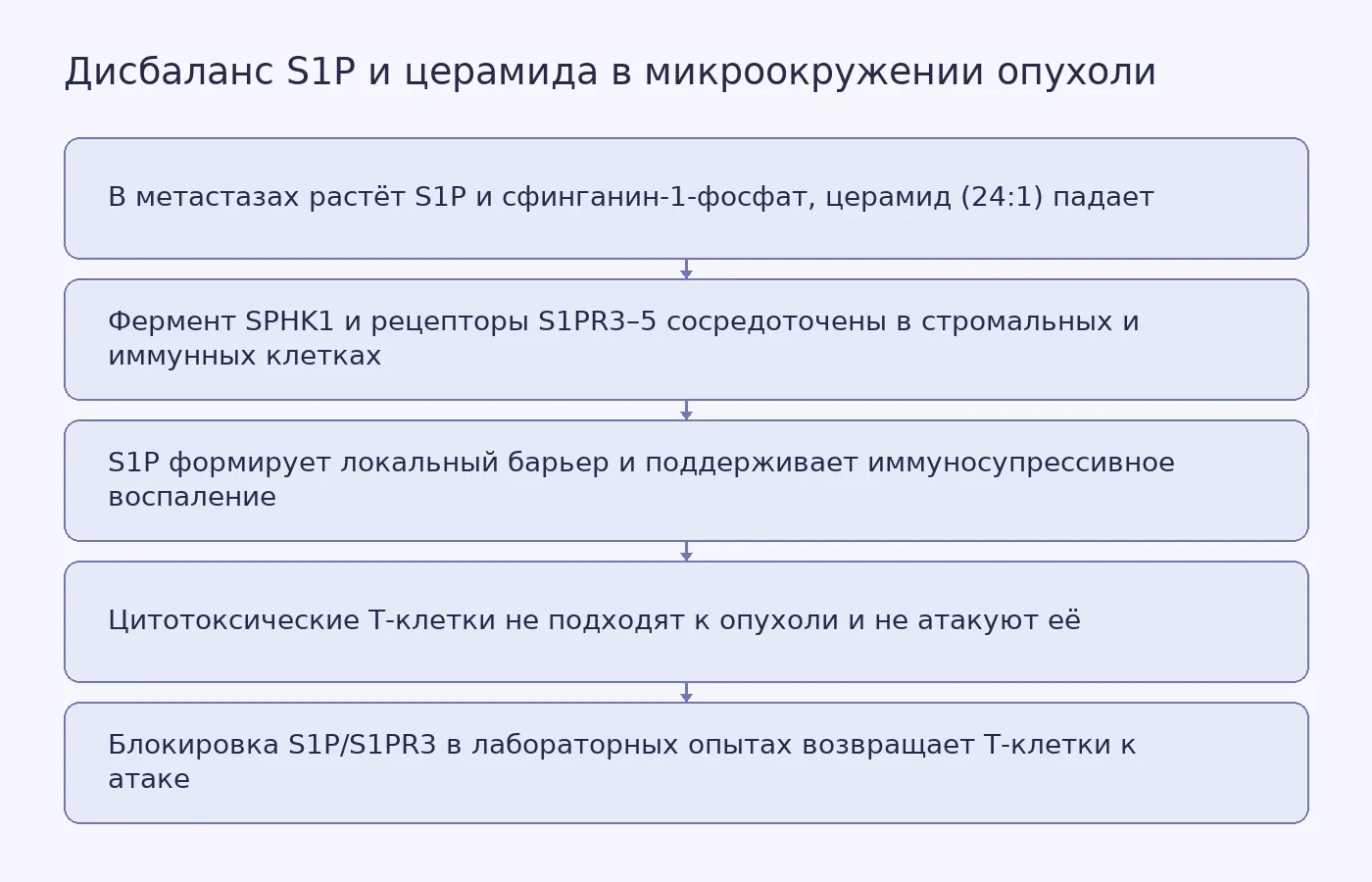 Схема показывает, как накопление S1P в стромальных и иммунных клетках микроокружения и снижение церамида создают барьер для цитотоксических T-клеток при метастатическом колоректальном раке.