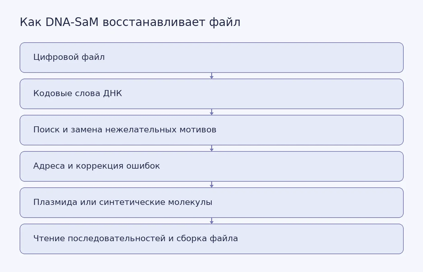 Концептуальная схема этапов DNA-SaM: перевод цифровых данных в последовательности ДНК, проверка мотивов, добавление адресов и избыточности, затем чтение и восстановление файла.