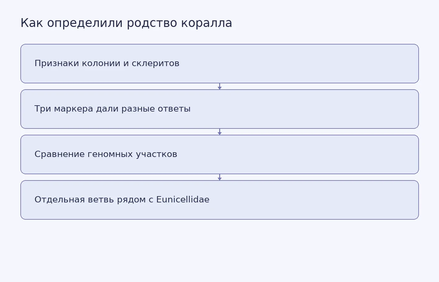 Схема показывает, как морфологические признаки и филогеномный анализ помогли отнести Laurinque elenya к отдельной эволюционной линии.