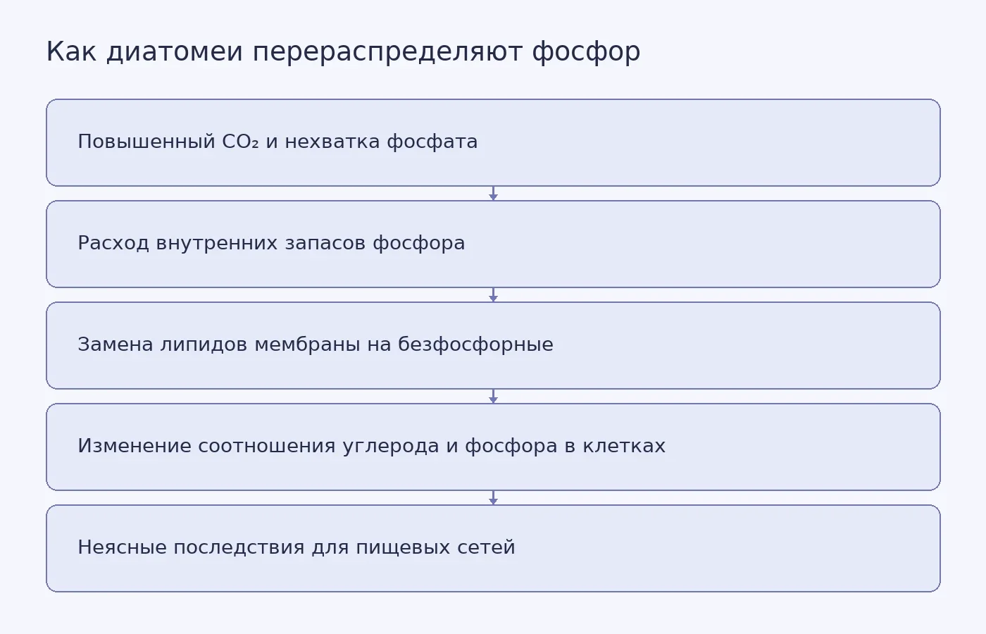 Схема показывает, как сочетание повышенного CO₂ и нехватки фосфата меняет распределение фосфора в клетках диатомей и соотношение углерода и фосфора в их биомассе.