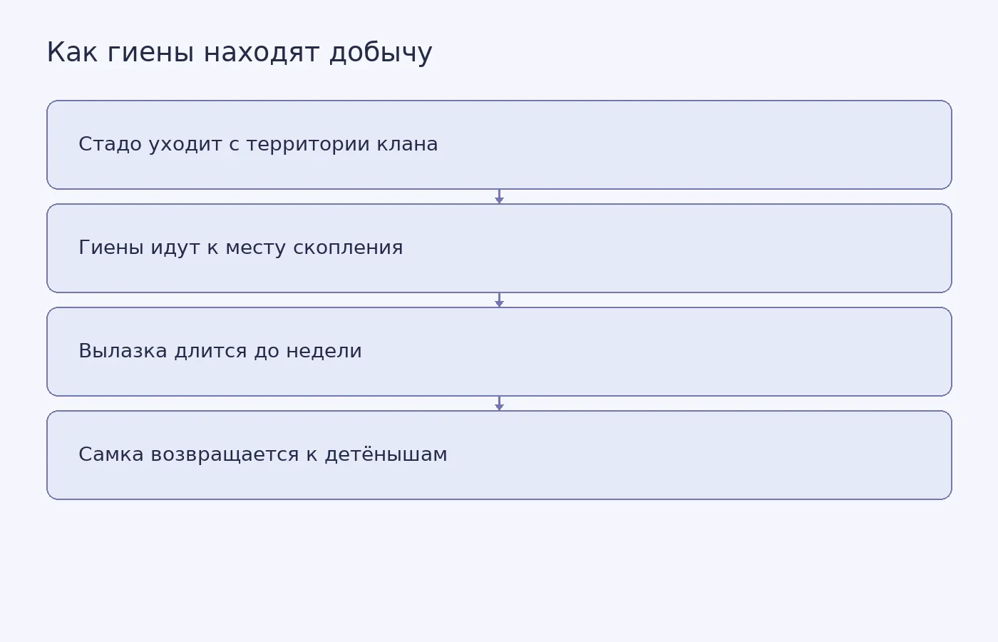 Схема описывает дальнюю кормовую вылазку гиены за мигрирующей добычей и возвращение к общему логову; она не показывает экспериментальные данные.