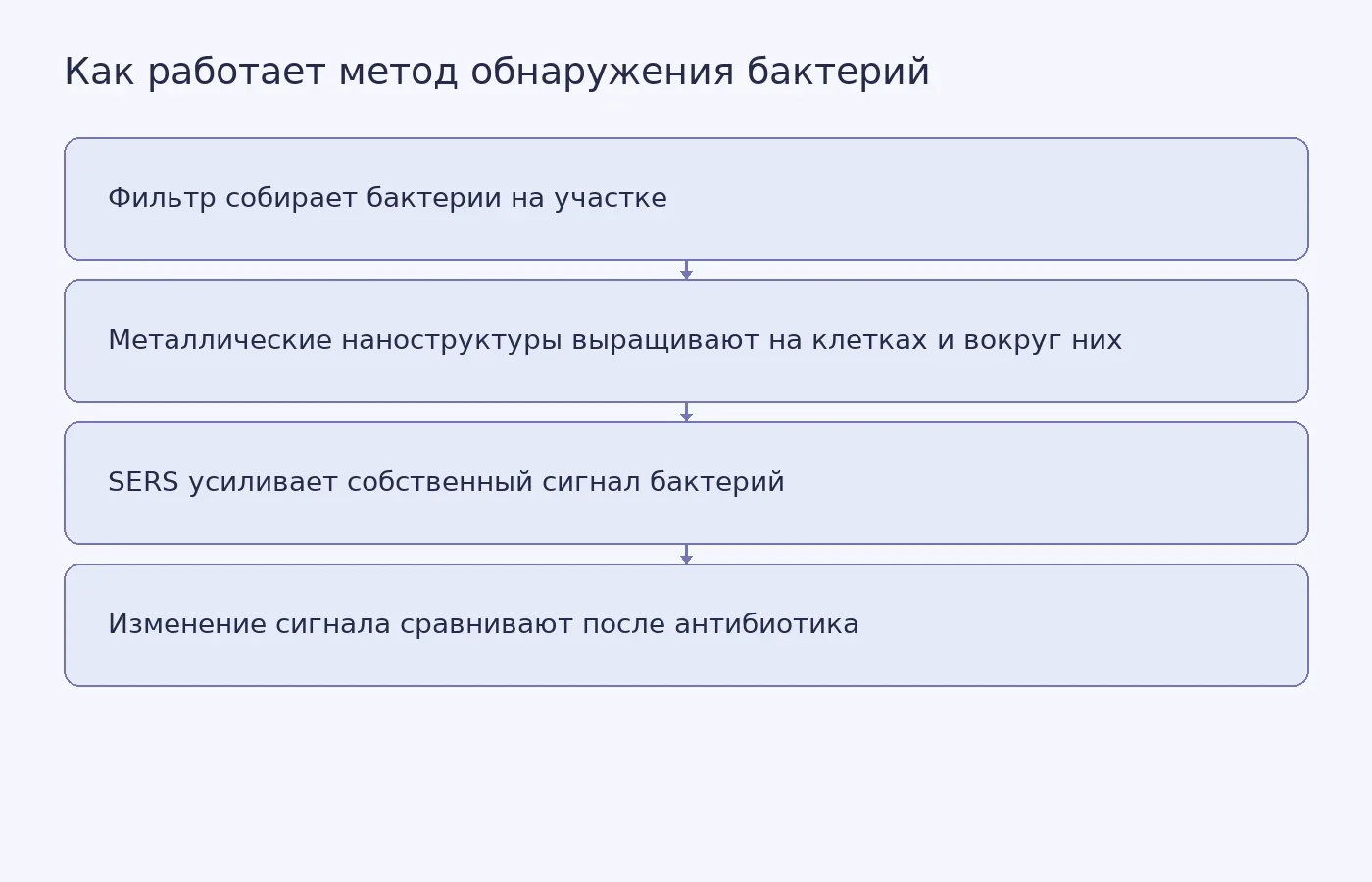Схема метода: фильтр концентрирует бактерии, на их поверхности выращивают металлические наноструктуры, затем анализируют усиленный рамановский сигнал и его изменение после воздействия антибиотика.