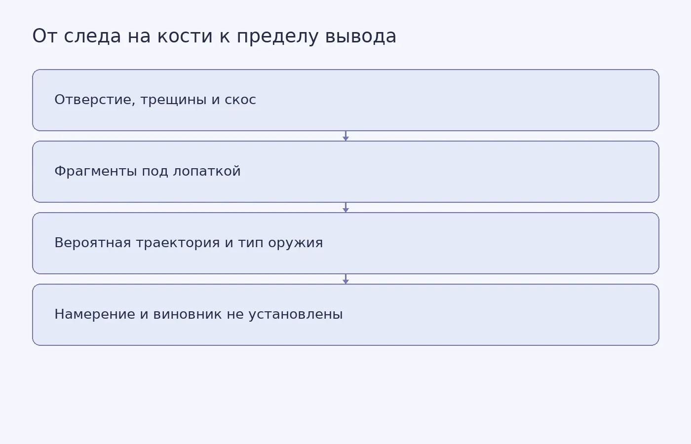 Схема показывает, как признаки лопаточной травмы позволяют предположить направление удара и деревянное копьё, но не определить, было ли ранение намеренным нападением или несчастным случаем.