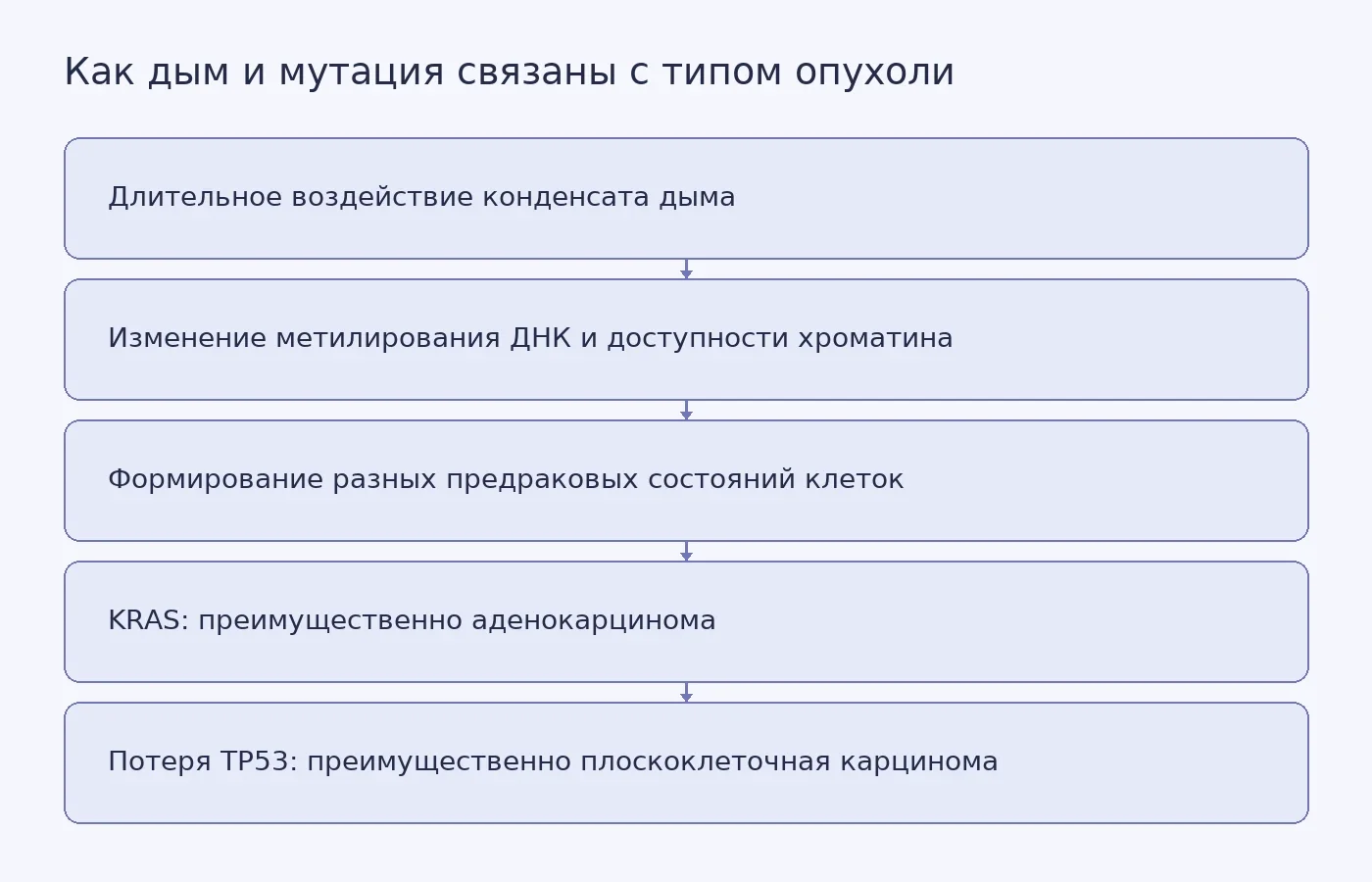 Схема показывает, как воздействие сигаретного дыма меняет состояние стволовых клеток лёгких, после чего мутации KRAS и TP53 связаны с разными типами опухолей