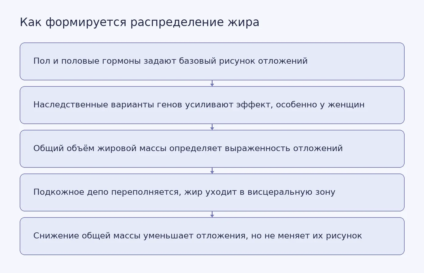 Схема показывает последовательность факторов, определяющих распределение жира: от пола и гормонов через генетику и общий объём жира к переполнению подкожного депо и практическому выводу о снижении массы тела.