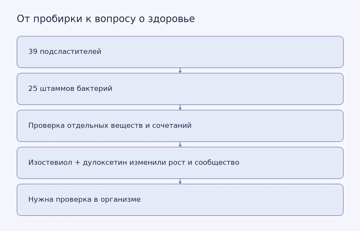 Схема показывает этапы лабораторного исследования: от тестирования подсластителей на бактериальных штаммах до необходимости проверить наблюдаемые эффекты в организме человека.