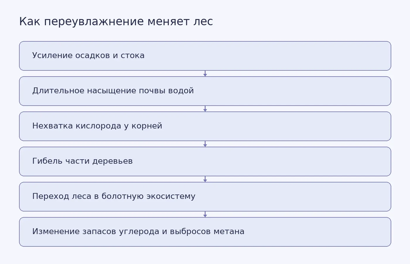Схема связи между ростом уровня воды, нехваткой кислорода у корней, гибелью деревьев и изменением углеродного баланса