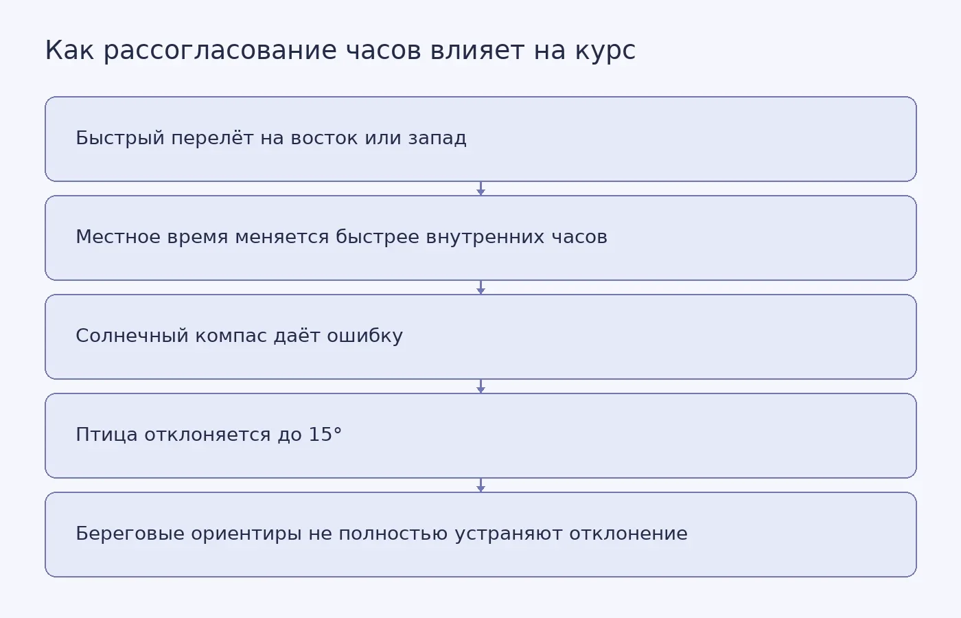 Схема объясняет предполагаемую связь между быстрым перелётом, рассогласованием внутренних часов и отклонением манксских буревестников от курса.