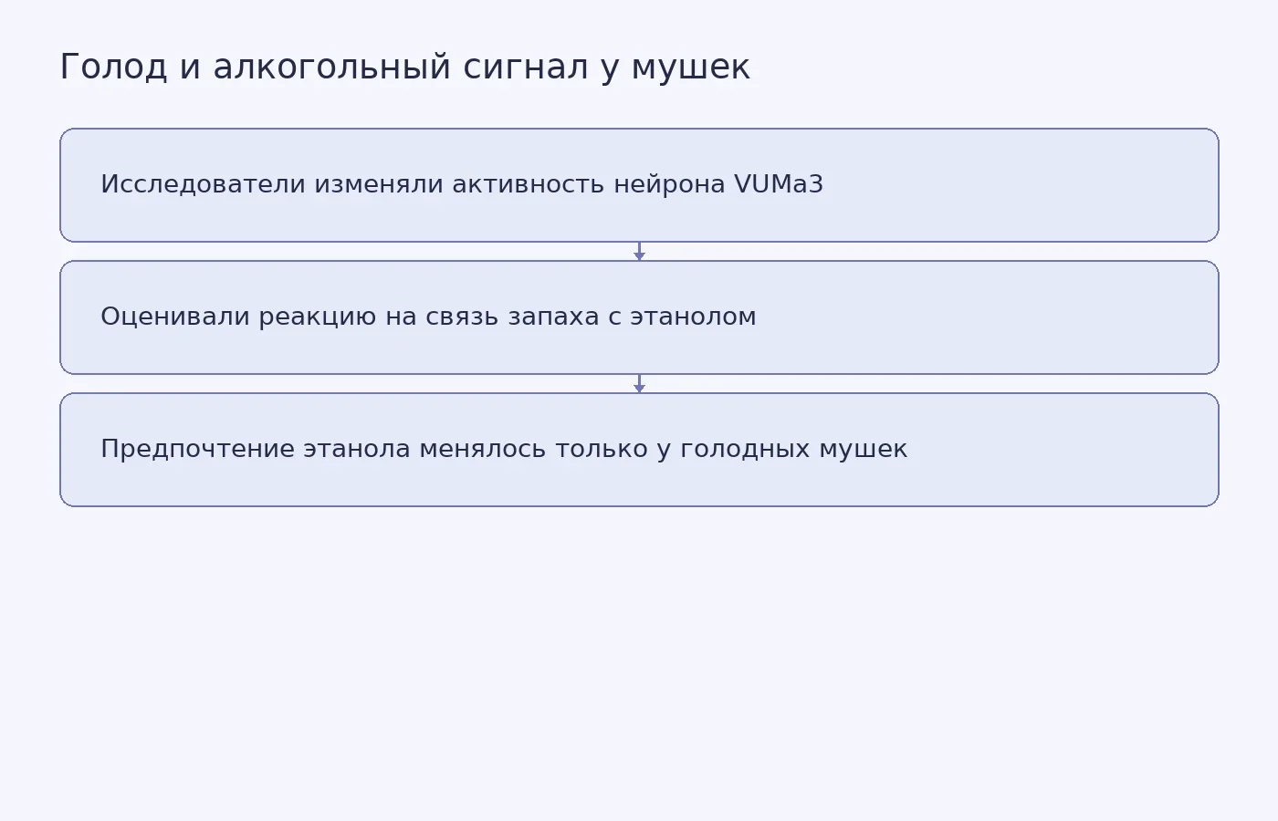 Схема описывает изученную связь между нейроном VUMa3, голодом и реакцией плодовых мушек; механизм у человека опыт не проверял.