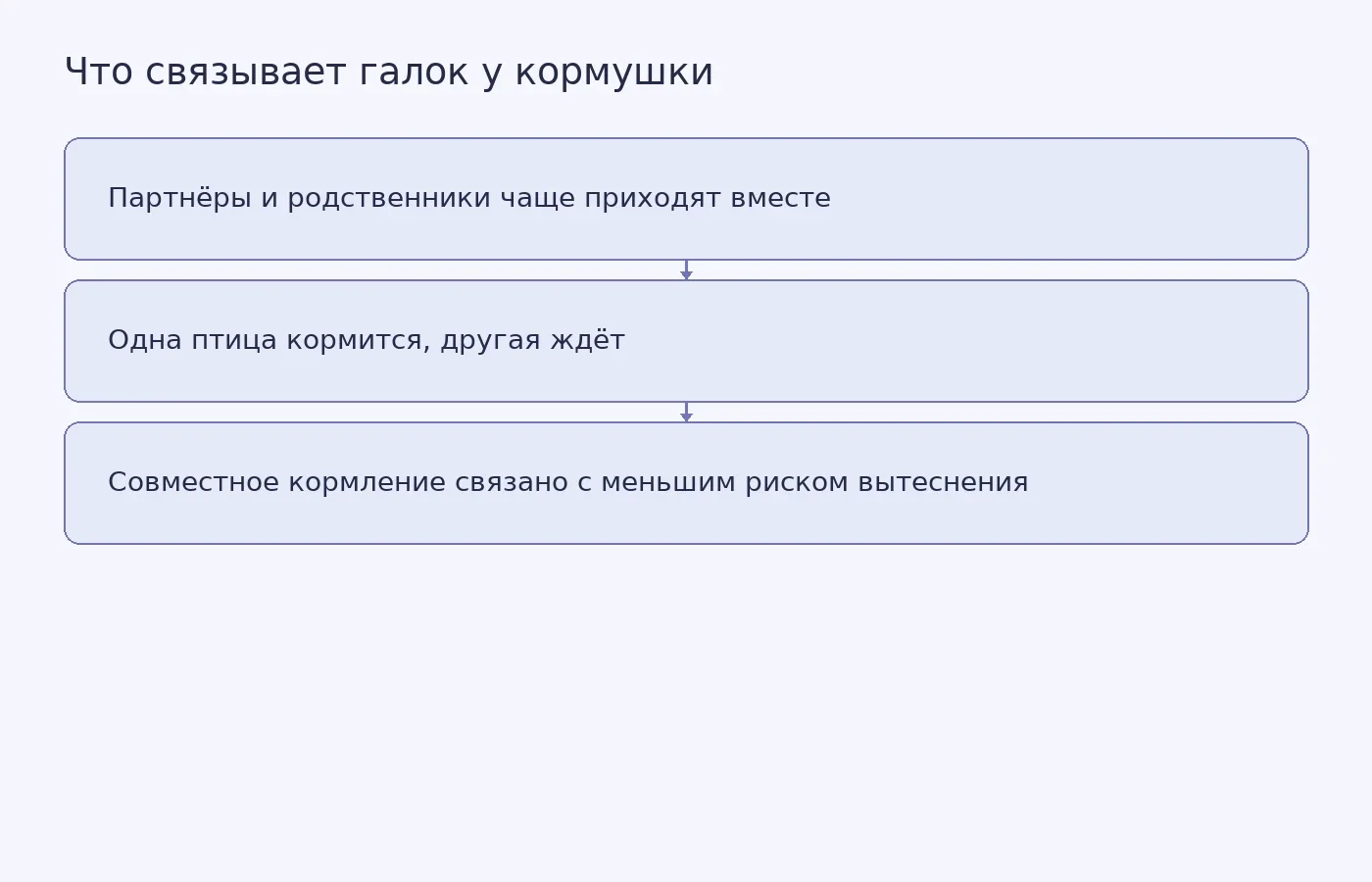 Схема наблюдаемой связи между близкими отношениями галок, ожиданием у кормушки и риском потерять место; причинность не установлена.