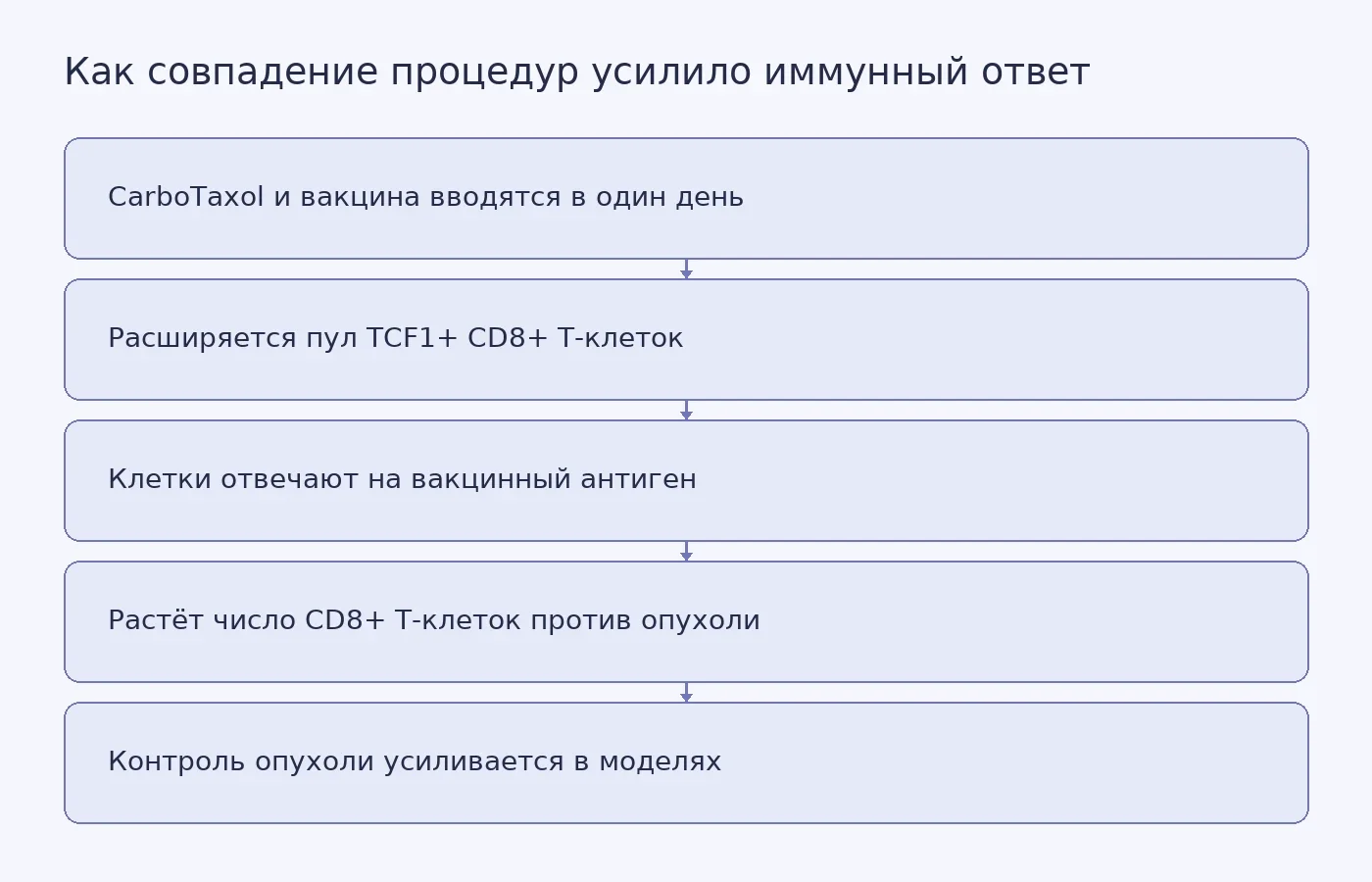 Концептуальная схема предполагаемого механизма, связывающего введение CarboTaxol в день вакцинации с расширением TCF1+ CD8+ T-клеток и усилением противоопухолевого ответа в доклинических моделях