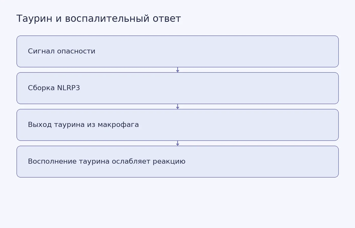 Схема клеточного механизма, описанного в исследовании; она не показывает действие пищевой добавки на организм человека.