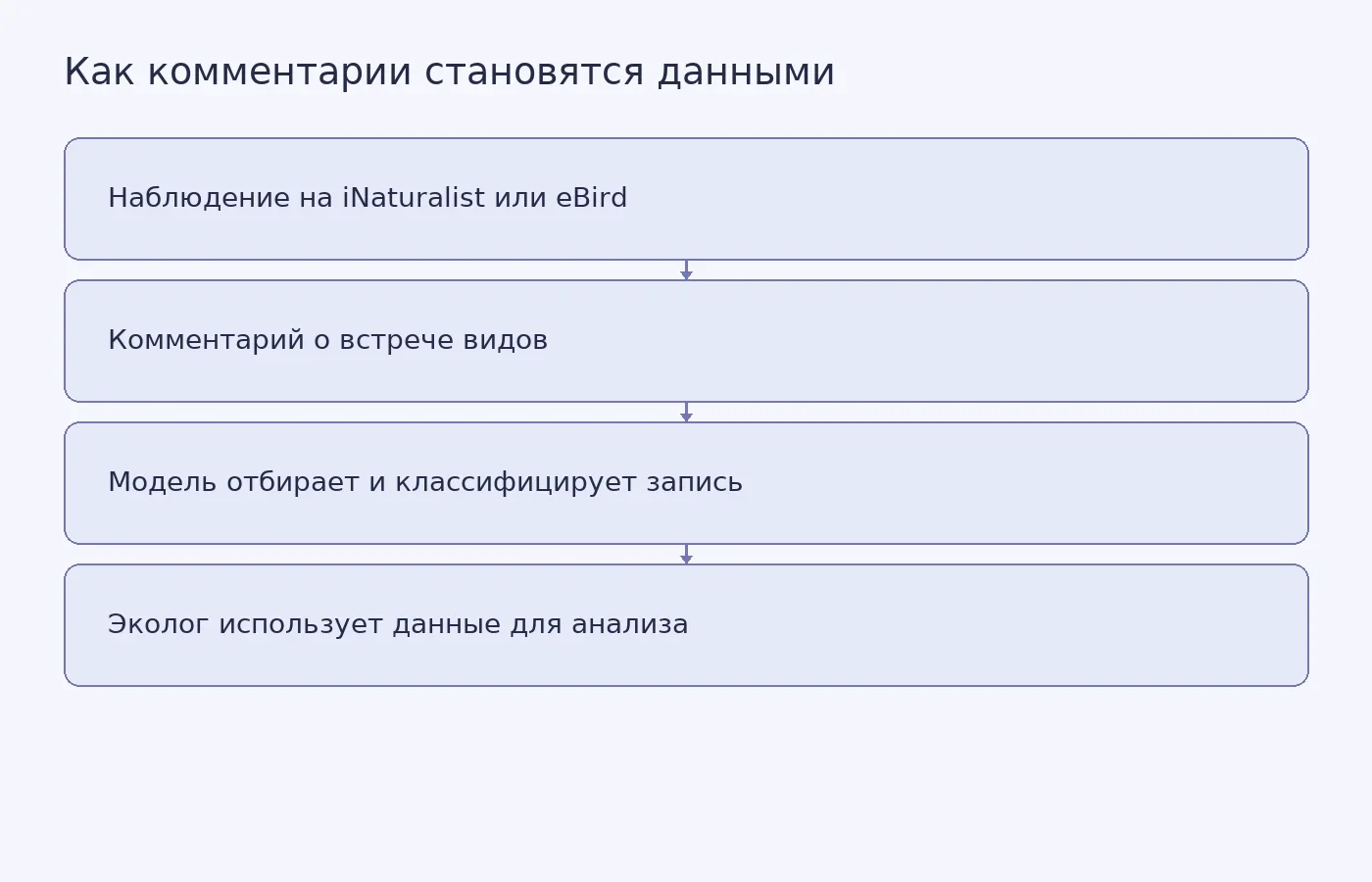 Схема показывает путь от наблюдения любителя природы и его комментария через отбор и классификацию языковой моделью к набору данных для экологического анализа