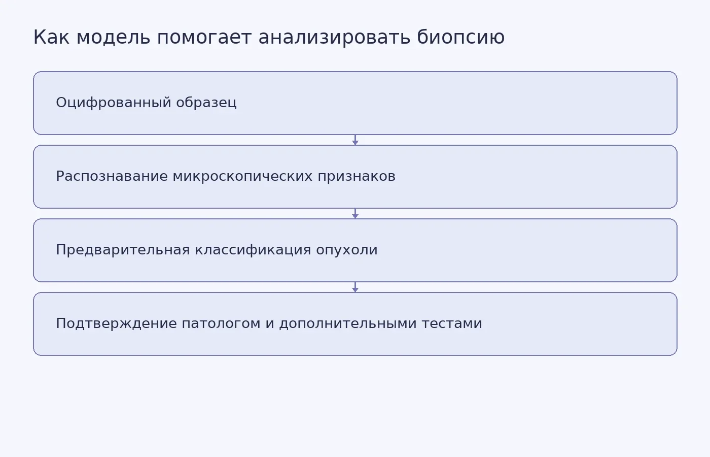 Схема показывает, как ИИ анализирует цифровое изображение биопсии и помогает патологу выбрать дальнейшие исследования