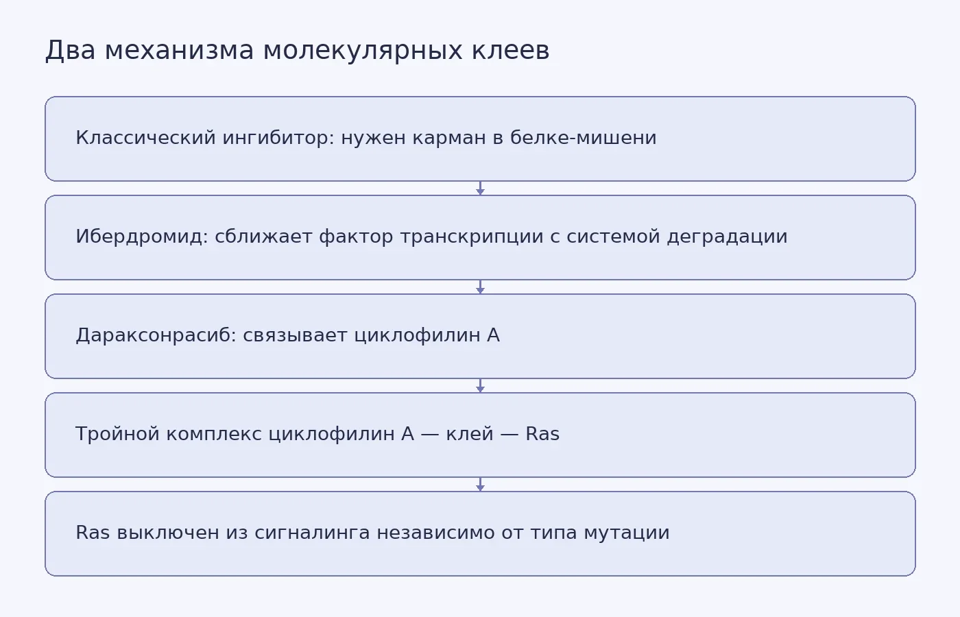 Схема показывает, почему молекулярный клей не требует кармана в Ras: он создаёт новый интерфейс между циклофилином A и Ras, тогда как ибердромид сближает фактор транскрипции с системой деградации белков.