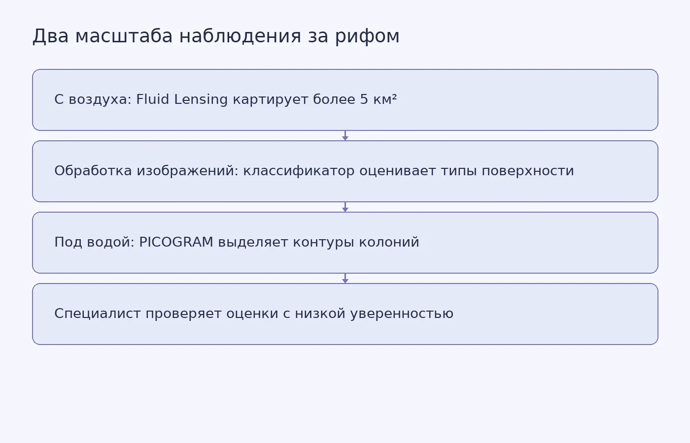 Схема показывает, как воздушная съёмка охватывает большую площадь рифа, а PICOGRAM анализирует отдельные коралловые колонии на подводных фотографиях; неуверенные результаты проверяет специалист.