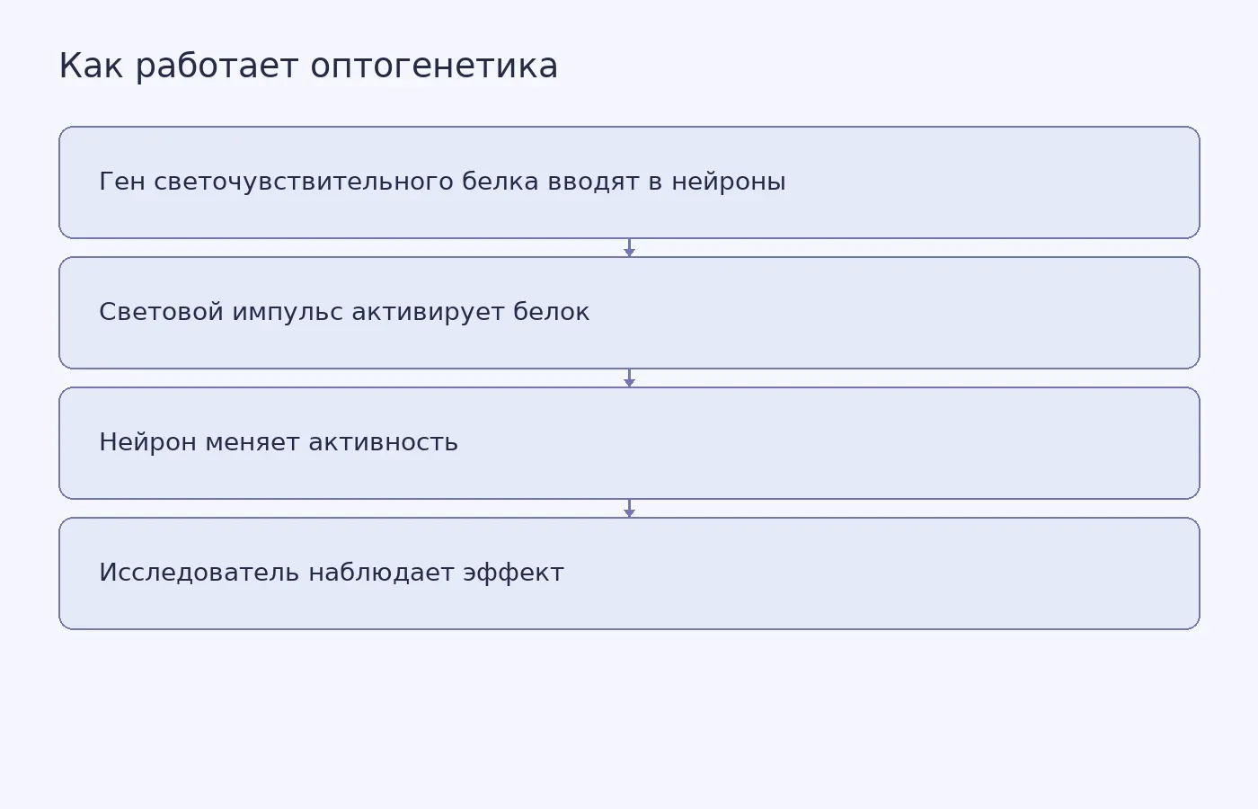 Схема принципа оптогенетики и последовательности от введения гена светочувствительного белка до наблюдения за активностью нейронов