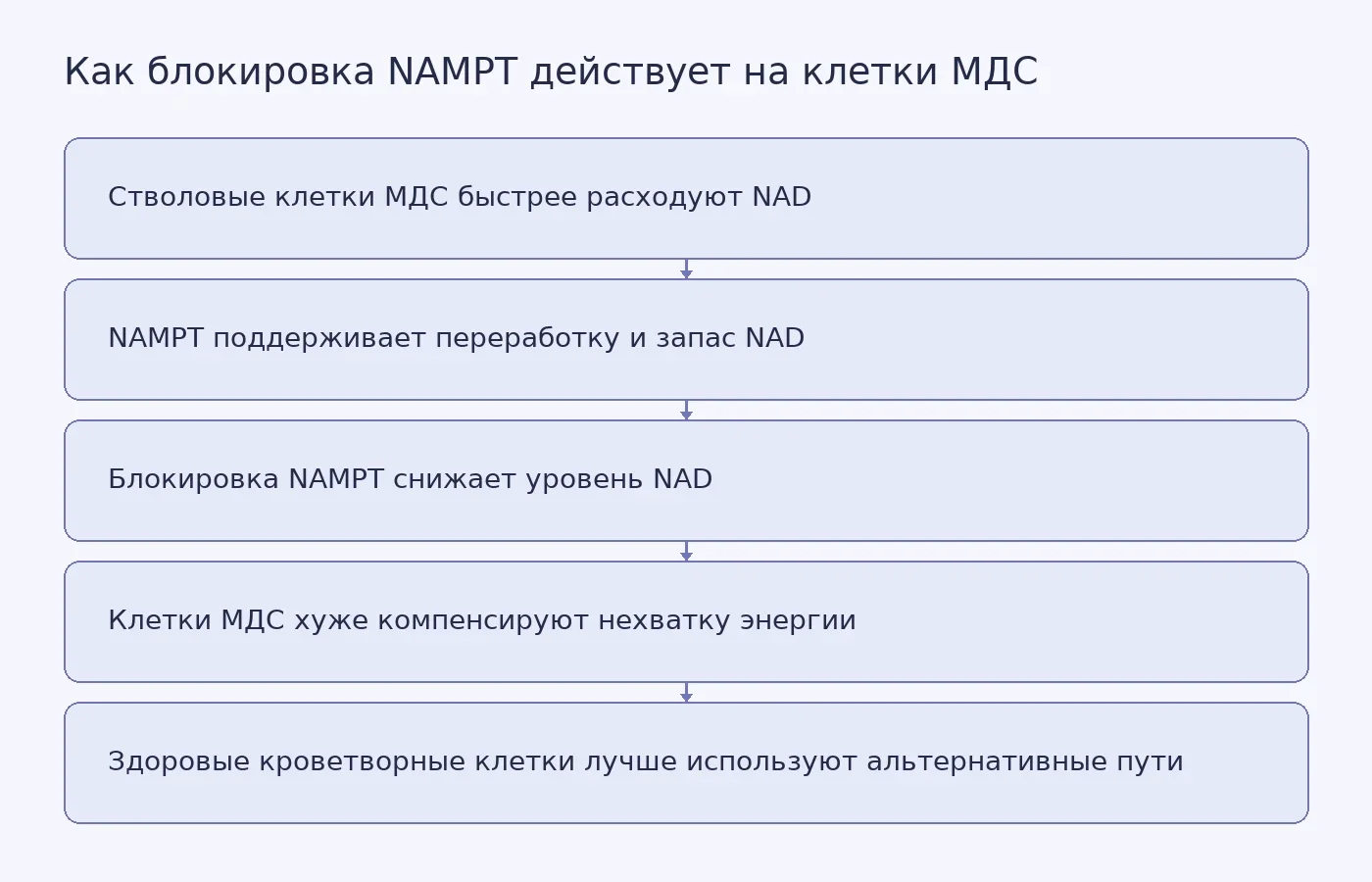 Схема показывает, как зависимость стволовых клеток МДС от переработки NAD может привести к их избирательному ослаблению после блокировки фермента NAMPT