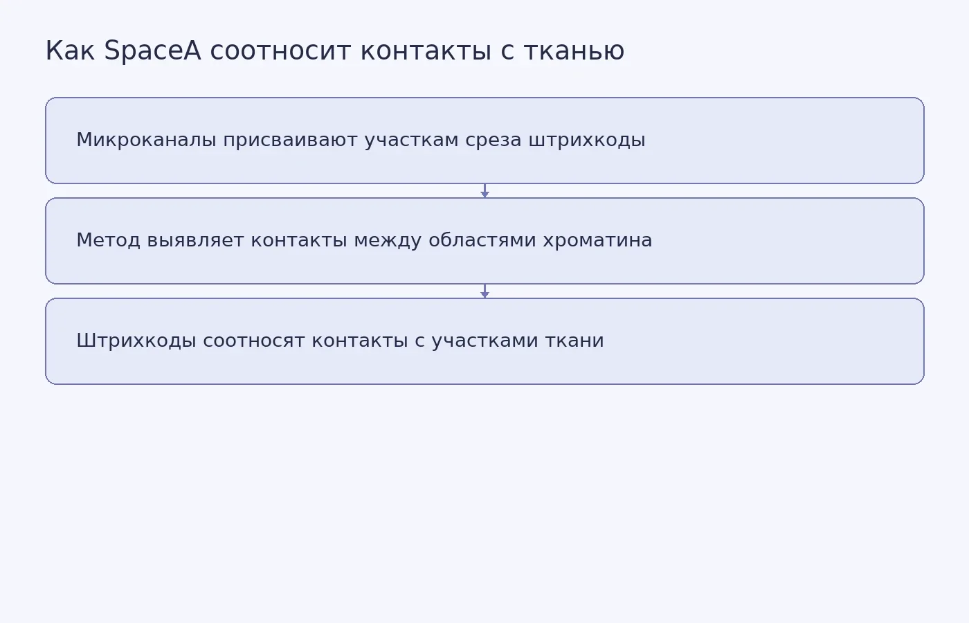 Схема показывает, как микроканалы присваивают участкам ткани штрихкоды, помогающие соотнести с ними обнаруженные контакты хроматина.