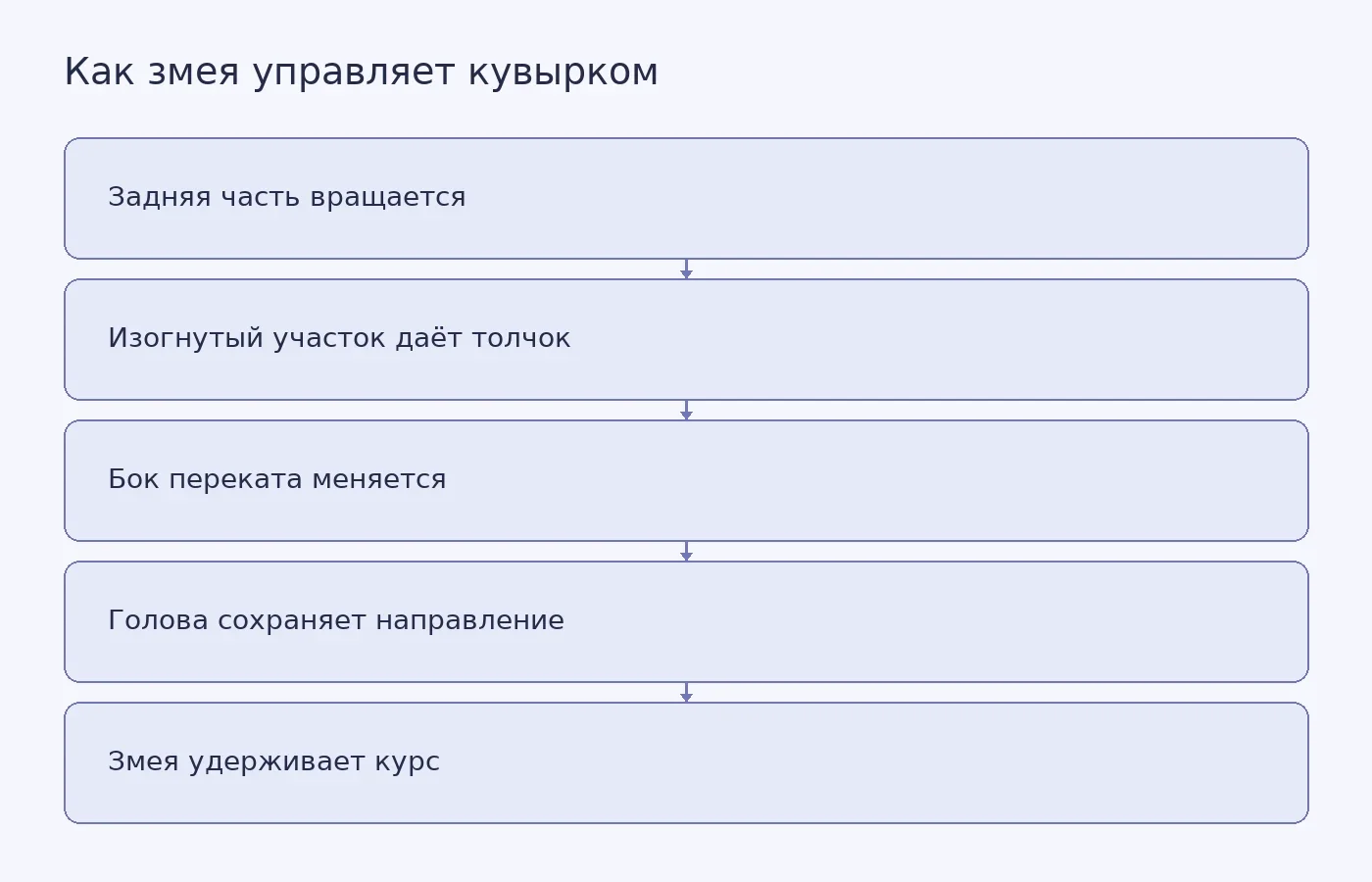Схема показывает, как вращение задней части тела, чередование боков и движение изогнутого участка помогают змее сохранять направление и стабильную высоту головы