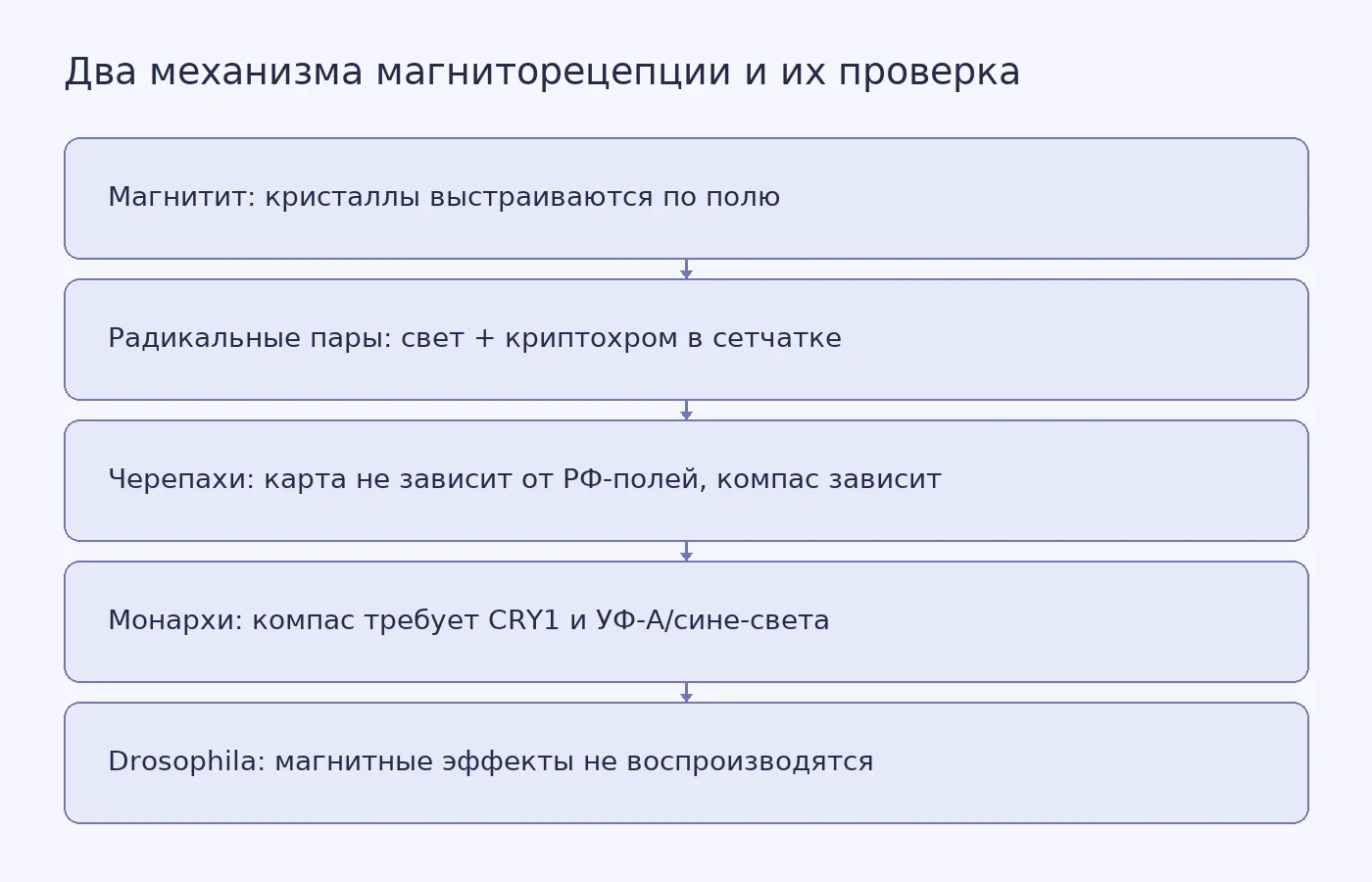 Схема сопоставляет магнититный и радикально-парный механизмы с результатами трёх ключевых работ