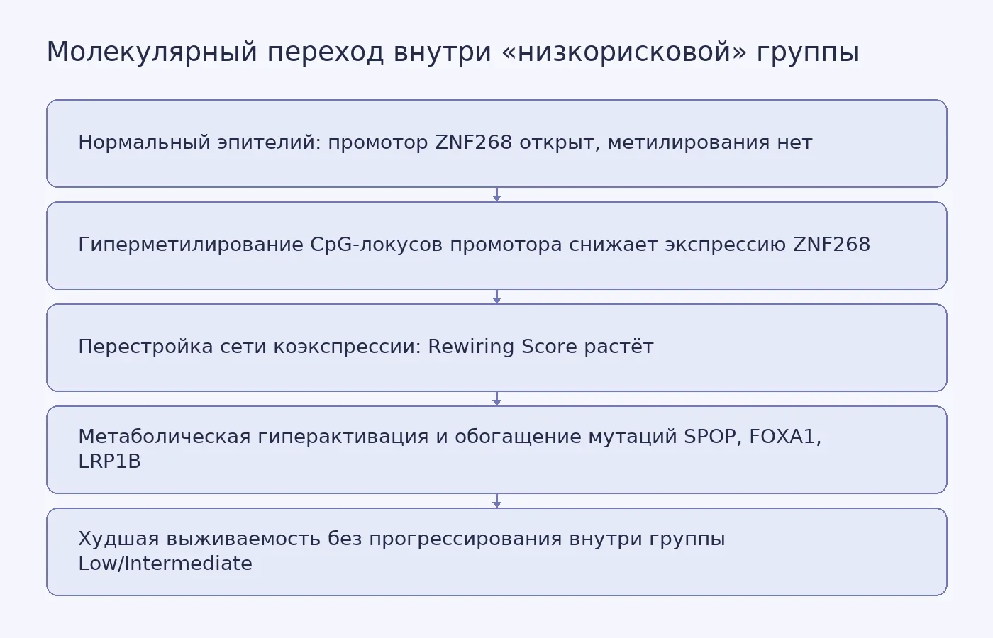 Схема показывает последовательность молекулярных событий: от открытого регуляторного региона ZNF268 в нормальной ткани через метилирование промотора и перестройку сети коэкспрессии к метаболической гиперактивации и худшему исходу в клинически низкорисковой группе.