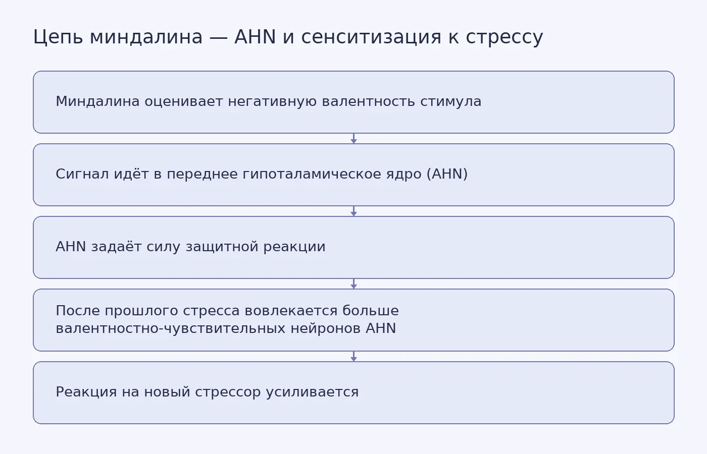 Схема: сигнал о негативной валентности идёт из миндалины в переднее гипоталамическое ядро, которое регулирует силу реакции на стресс; после перенесённого стресса число чувствительных нейронов растёт.