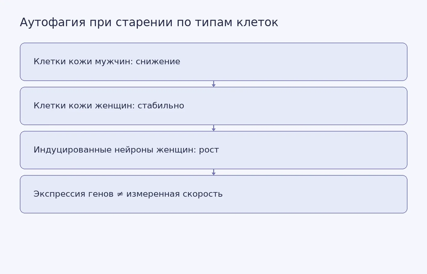 Схема показывает разное направление изменения аутофагии с возрастом в трёх типах клеток и расхождение между экспрессией генов и прямой оценкой скорости процесса