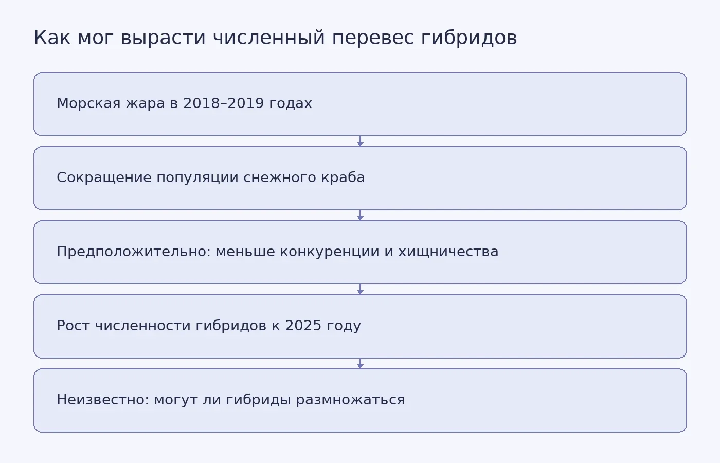 Схема показывает предполагаемую связь морской жары, сокращения популяции снежного краба и роста численности гибридов. Способность гибридов размножаться остаётся неизвестной.