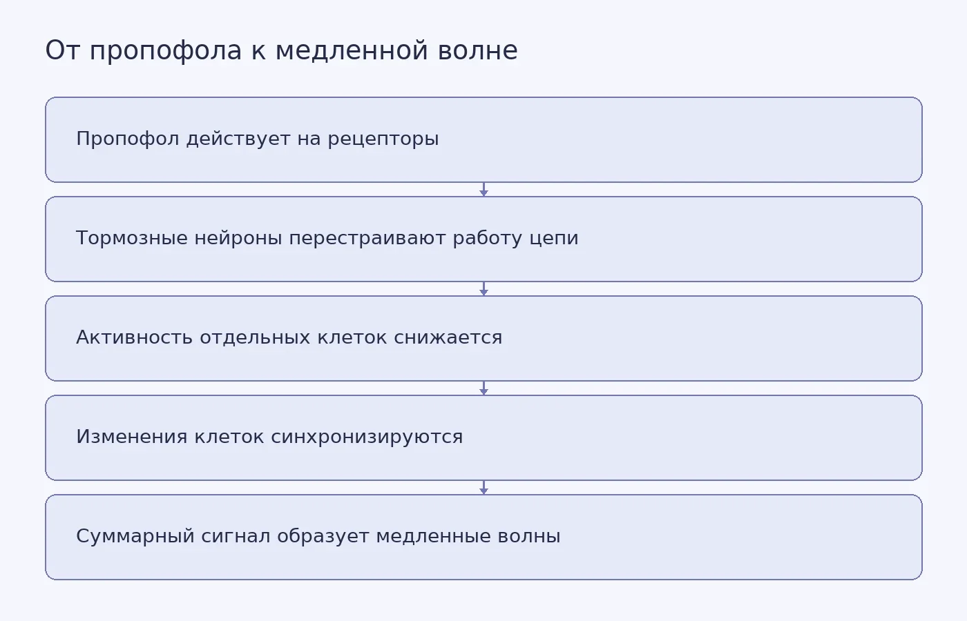 Схема объясняет, как действие пропофола на рецепторы и участие тормозных нейронов приводят к синхронизации сети и появлению крупных медленных электрических волн