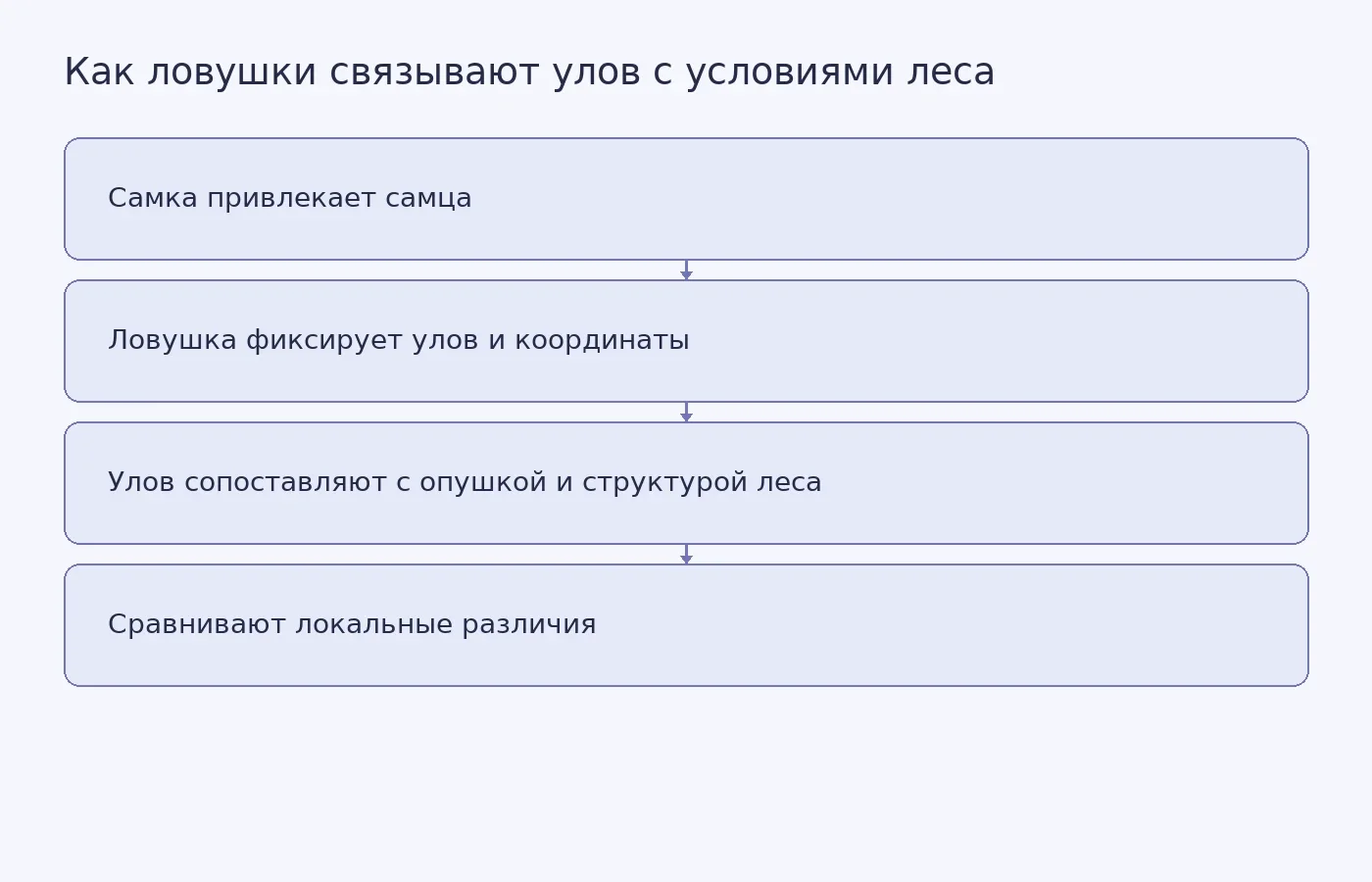 Схема показывает, как ловушки с самками Platycerus помогают сопоставить число пойманных самцов с положением в лесу и местными условиями