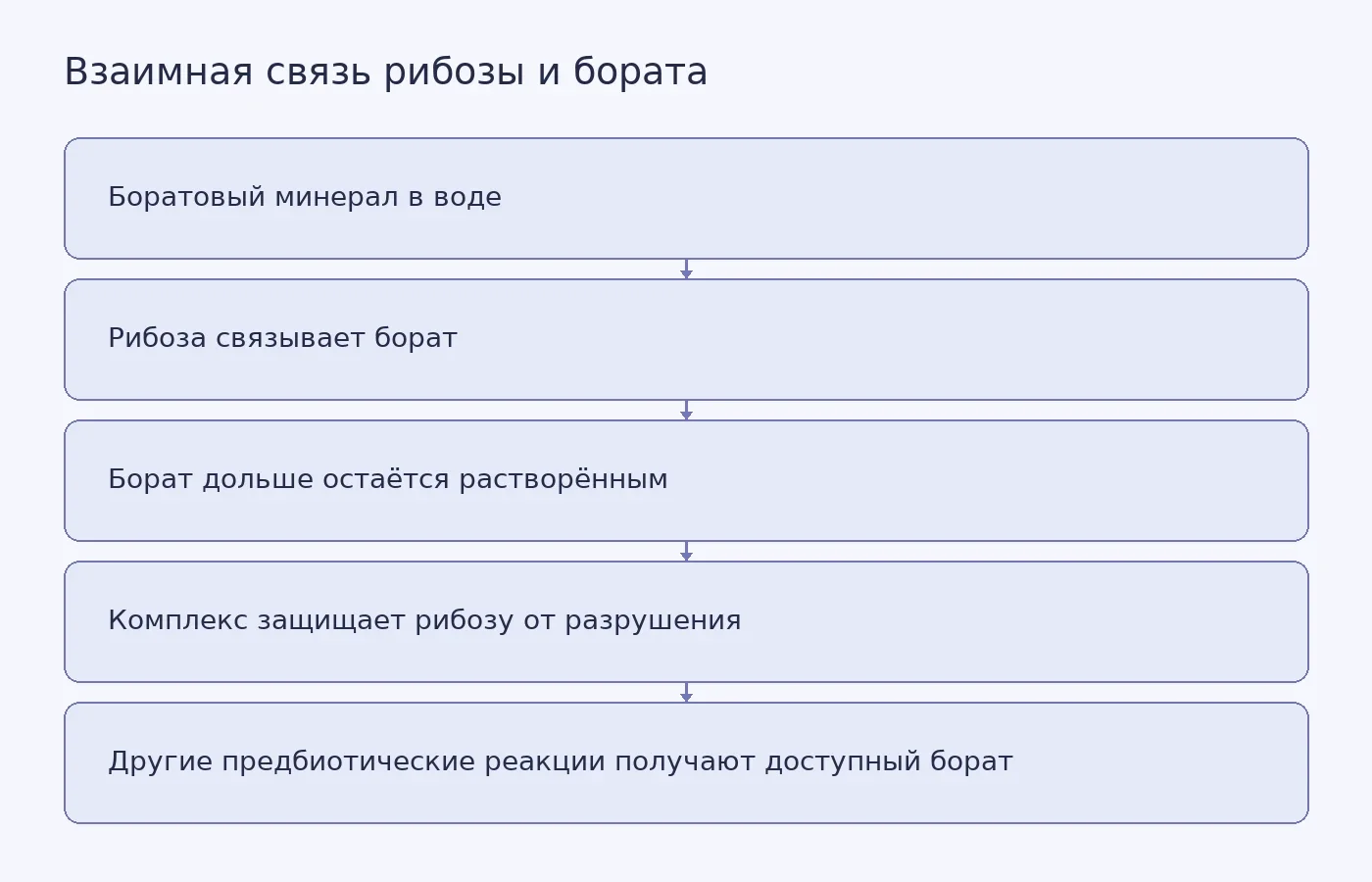 Концептуальная схема: рибоза помогает растворять боратовые минералы и препятствует осаждению бората, а борат связывается с рибозой и повышает её устойчивость