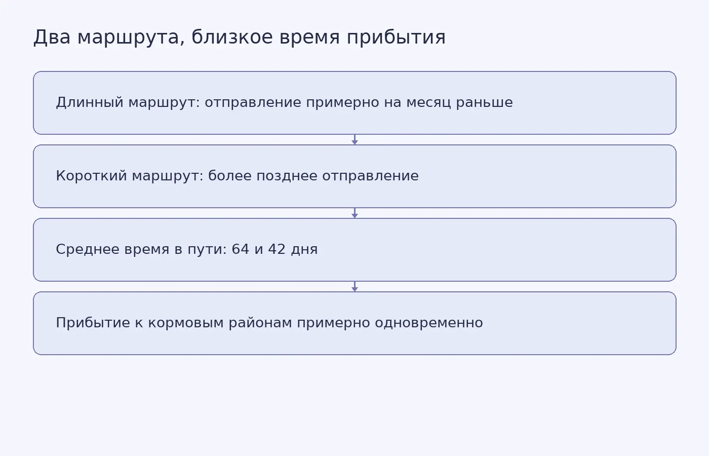 Концептуальная схема сравнивает сроки и среднее время двух маршрутов южных гладких китов от островов Окленд к кормовым районам южнее Австралии.