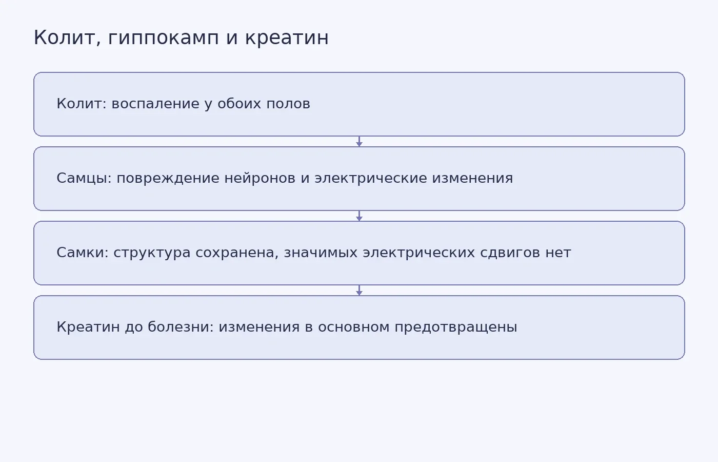 Схема результатов опыта на крысах: общие воспалительные изменения гиппокампа, различия между самцами и самками и эффект профилактического приёма креатина